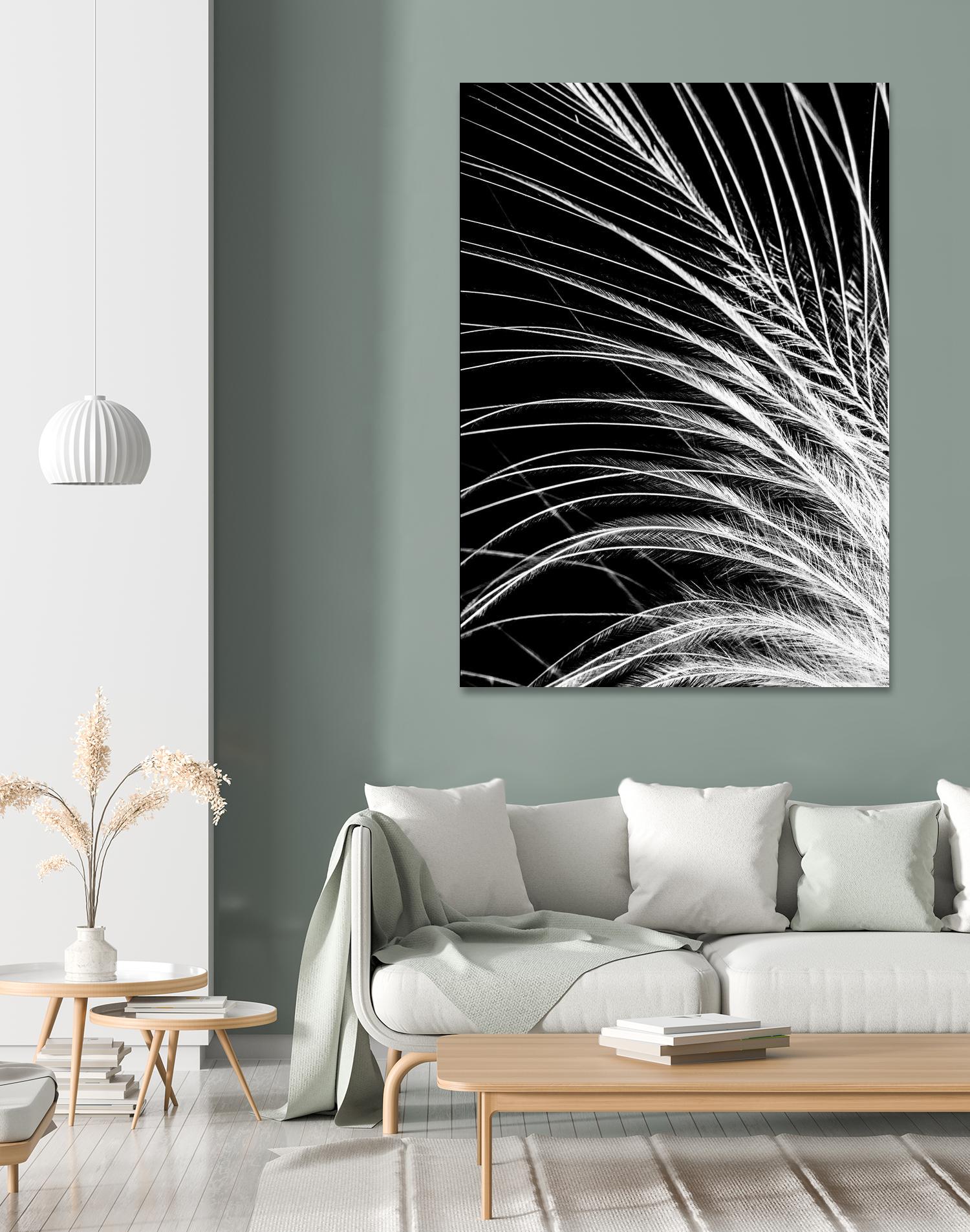 White Feather by Incado on GIANT ART - multicolor photography; floral/still life