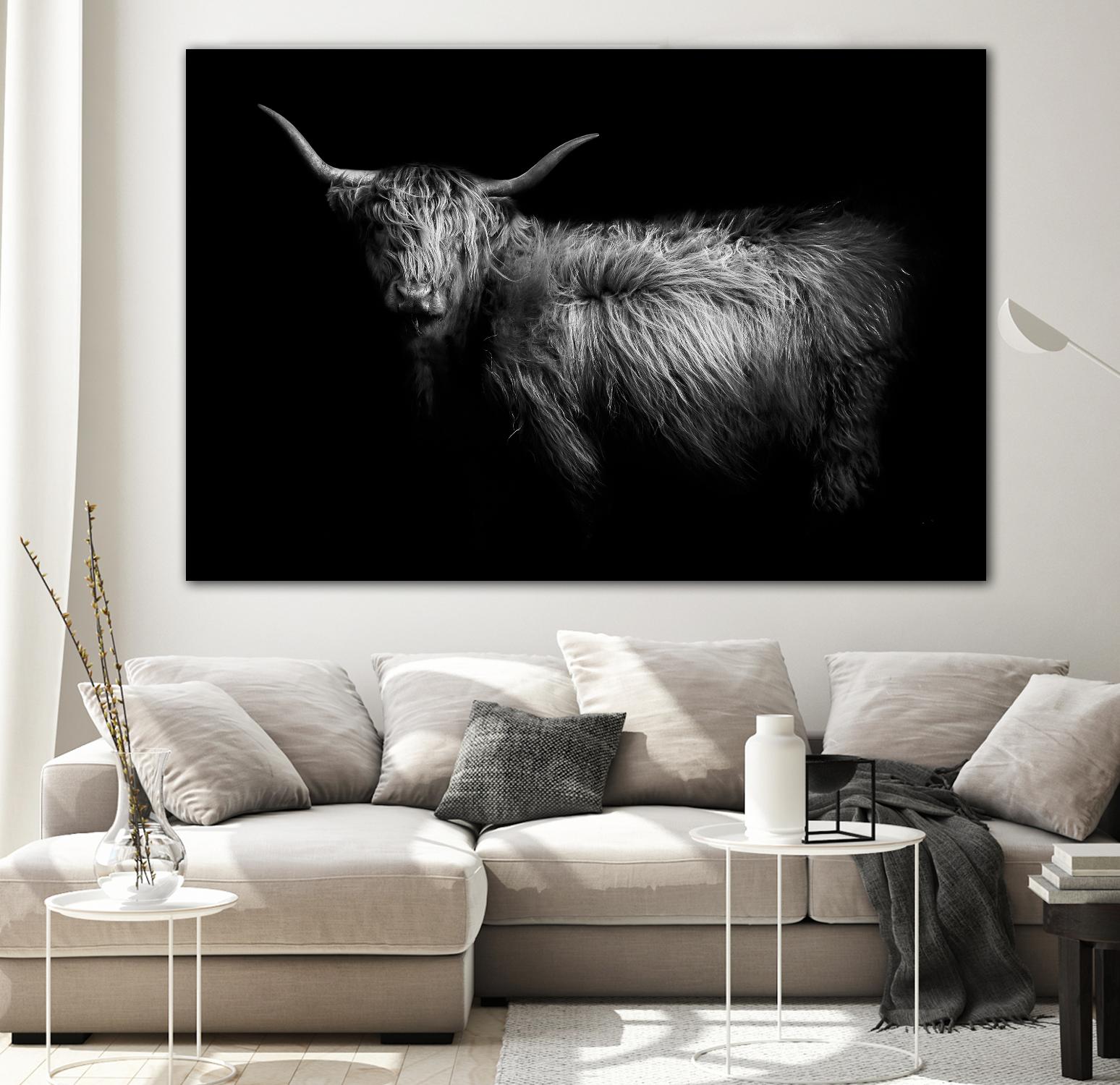 Hello by PhotoINC Studio on GIANT ART - multicolor animals; photography