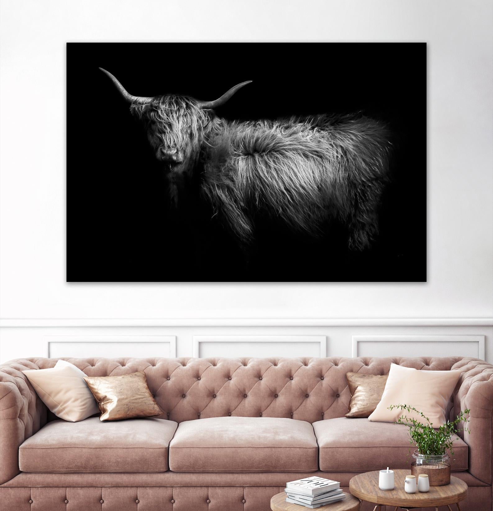 Hello by PhotoINC Studio on GIANT ART - multicolor animals; photography