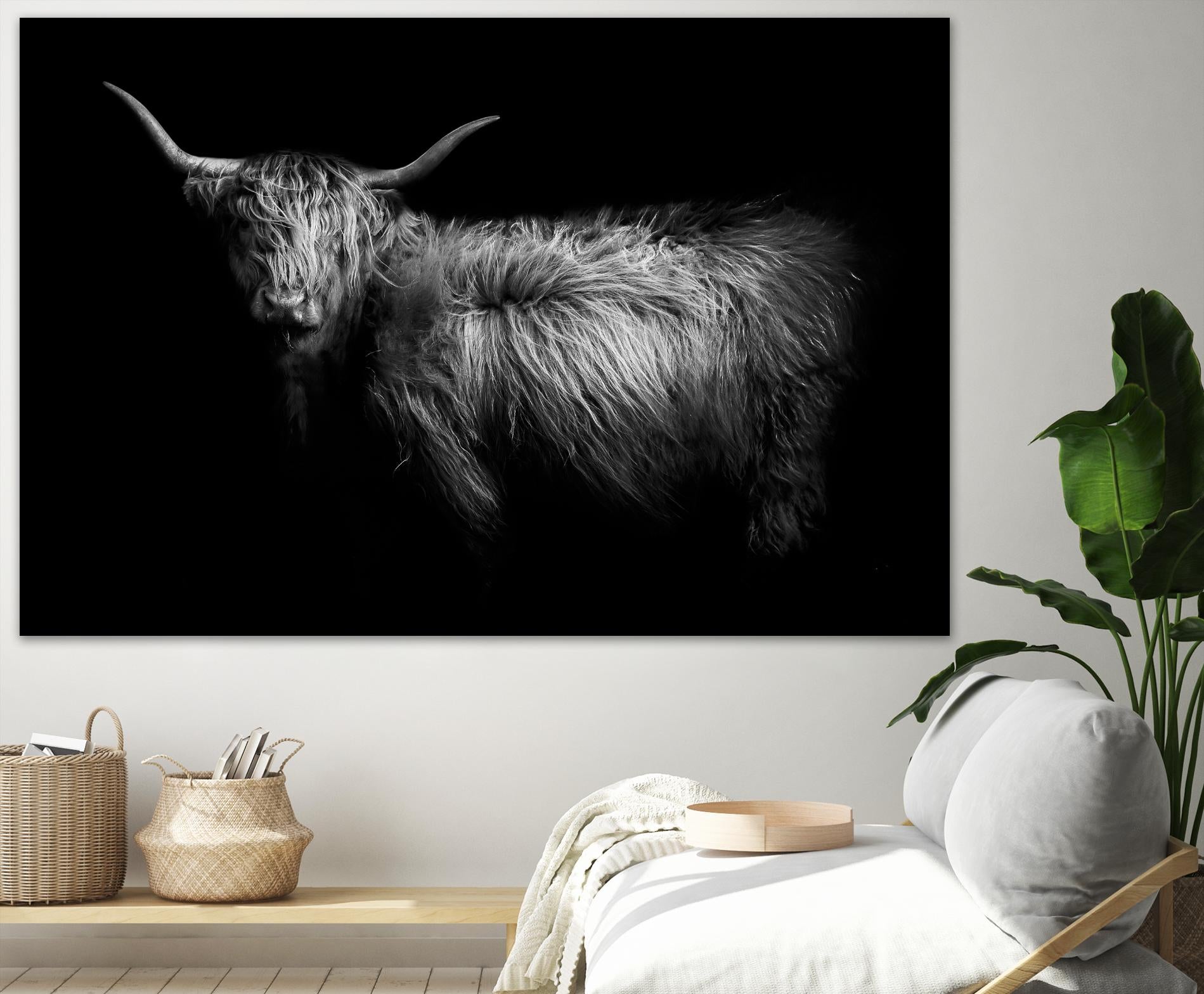 Hello by PhotoINC Studio on GIANT ART - multicolor animals; photography