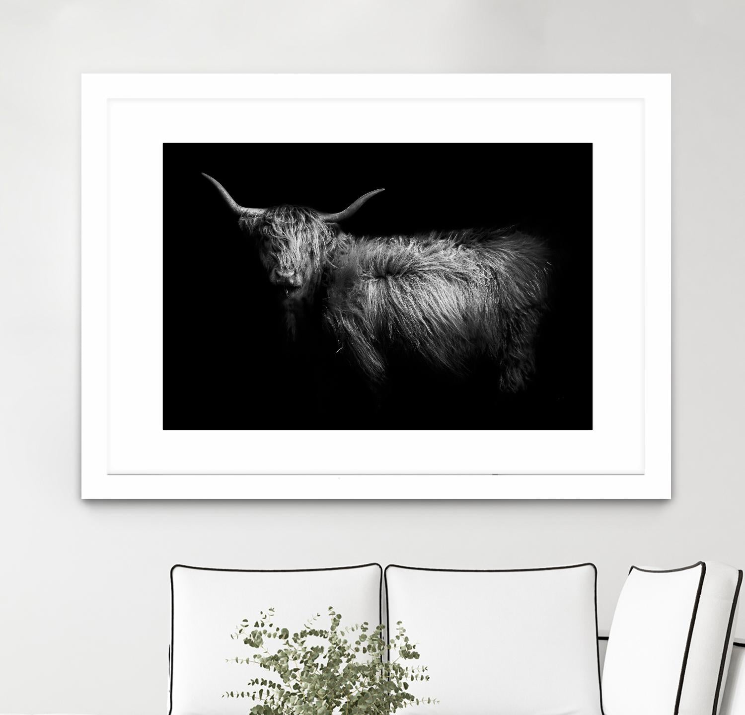 Hello by PhotoINC Studio on GIANT ART - multicolor animals; photography