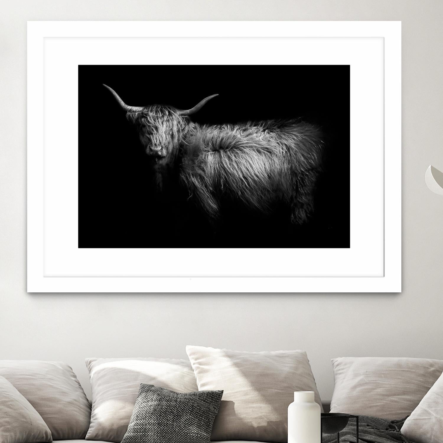 Hello by PhotoINC Studio on GIANT ART - multicolor animals; photography