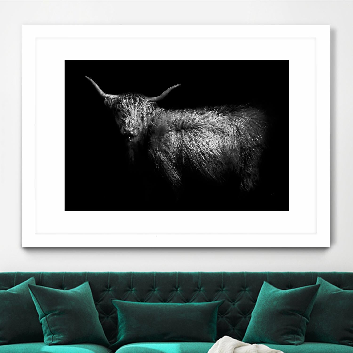 Hello by PhotoINC Studio on GIANT ART - multicolor animals; photography