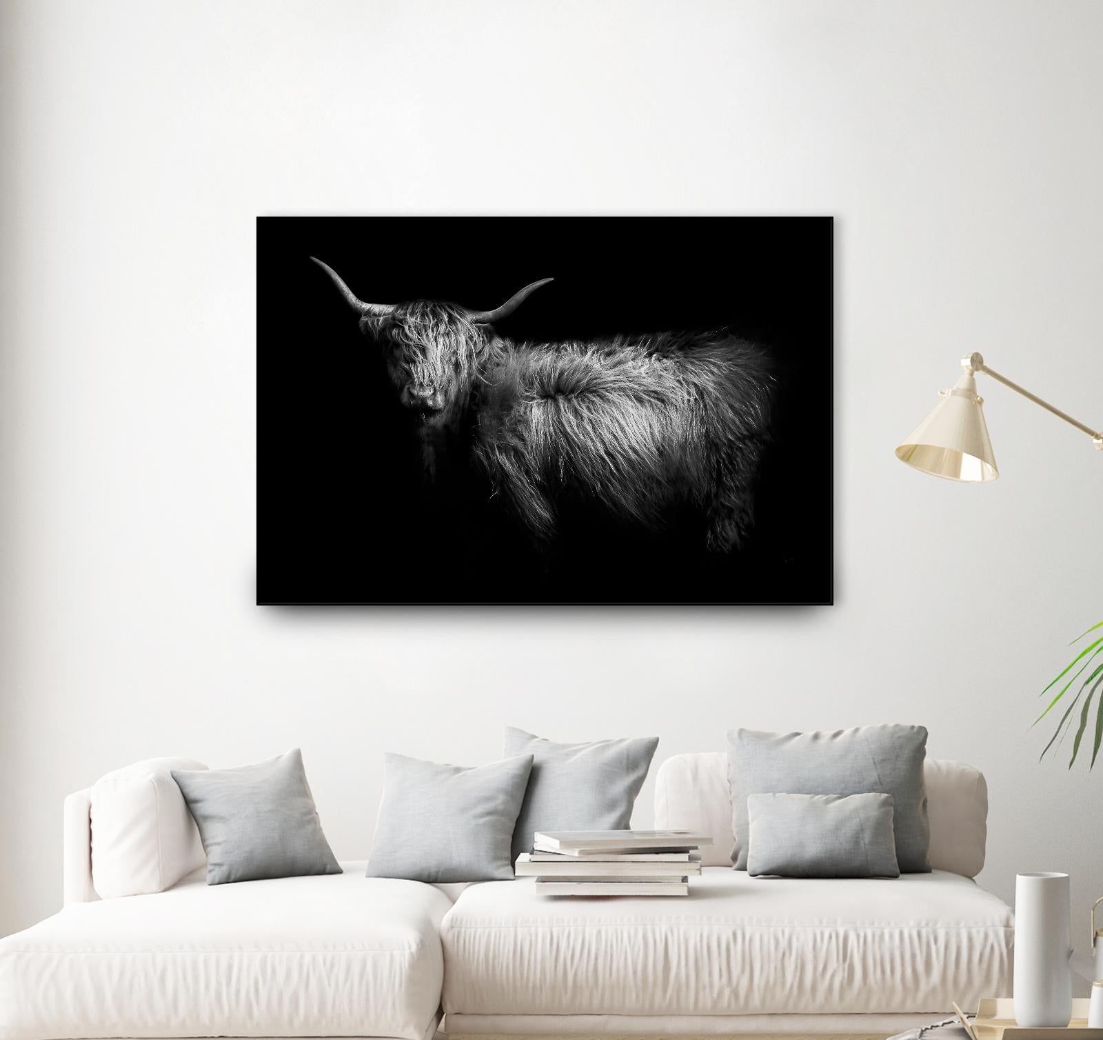 Hello by PhotoINC Studio on GIANT ART - multicolor animals; photography