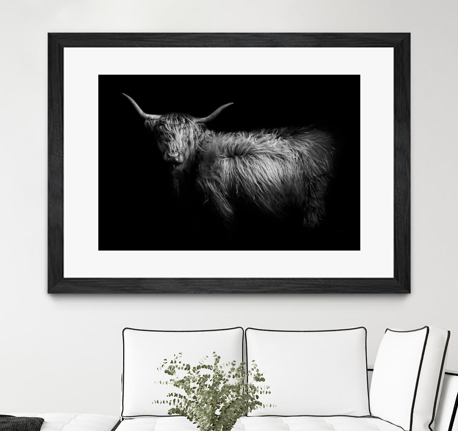 Hello by PhotoINC Studio on GIANT ART - multicolor animals; photography