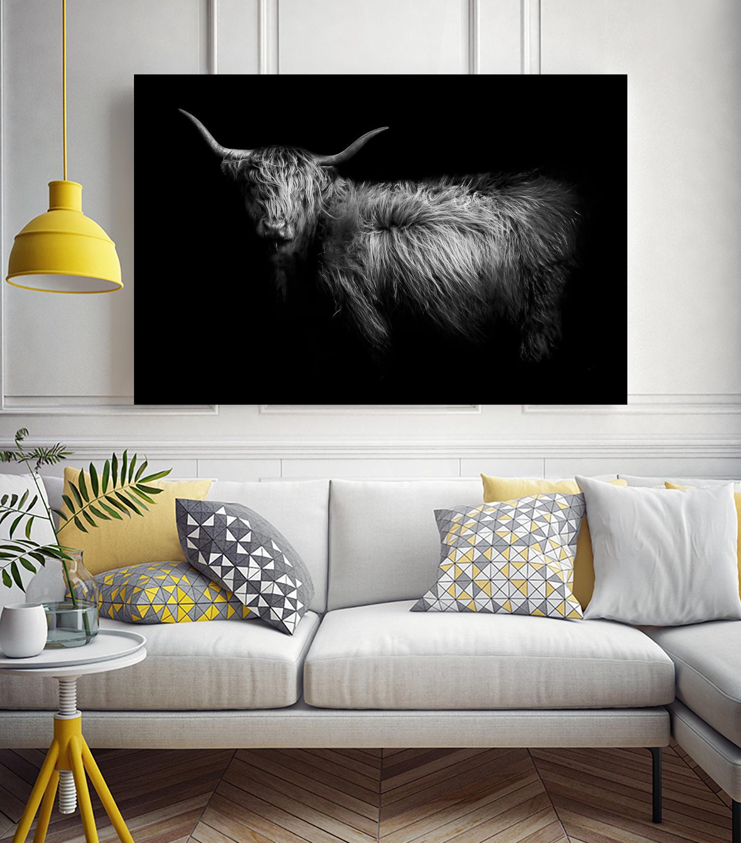 Hello by PhotoINC Studio on GIANT ART - multicolor animals; photography
