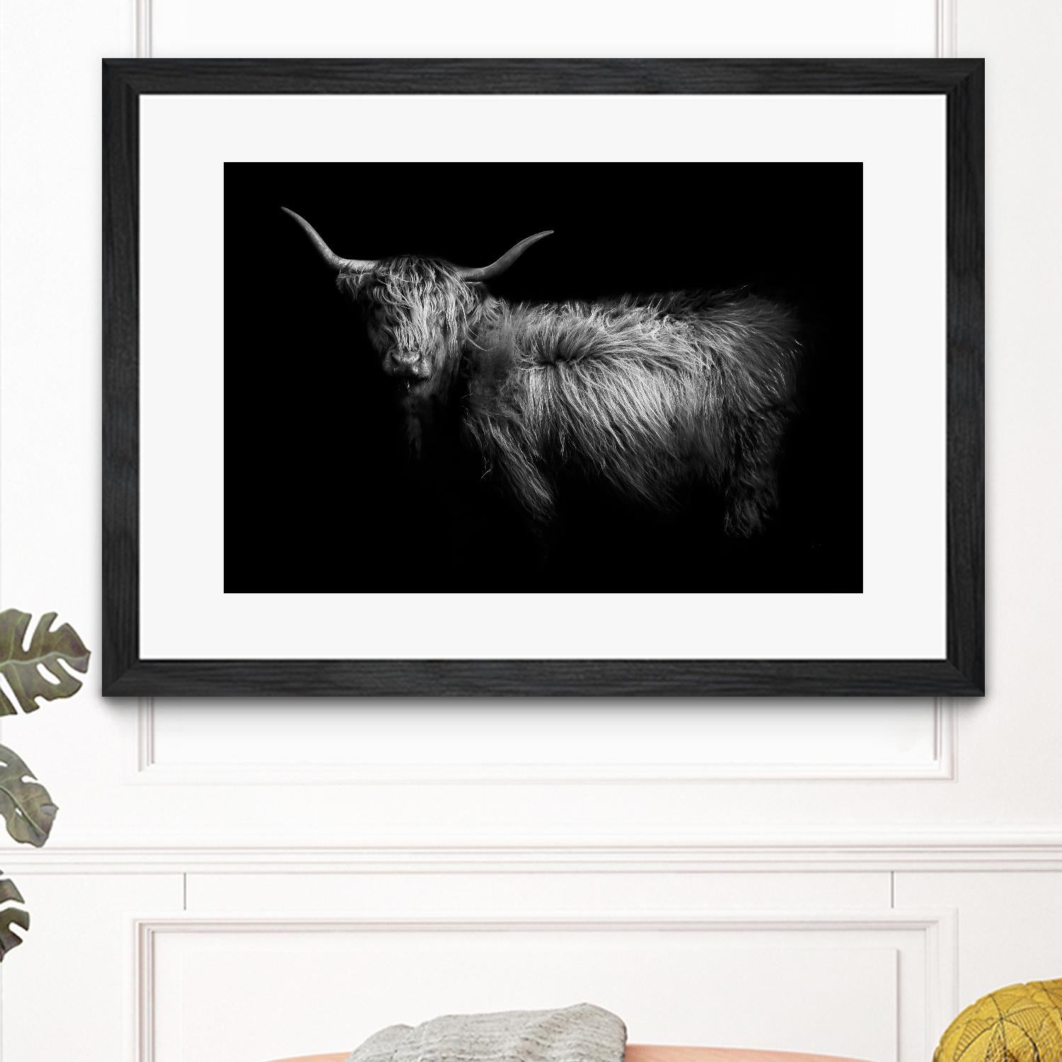 Hello by PhotoINC Studio on GIANT ART - multicolor animals; photography