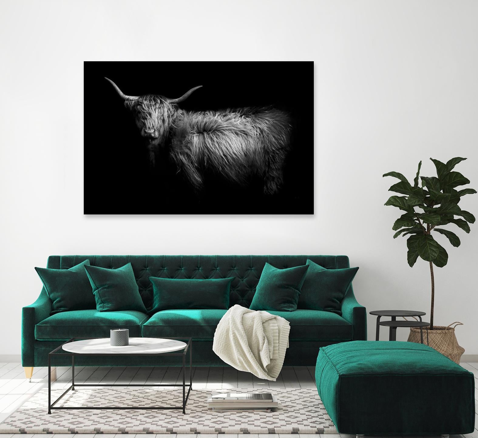 Hello by PhotoINC Studio on GIANT ART - multicolor animals; photography