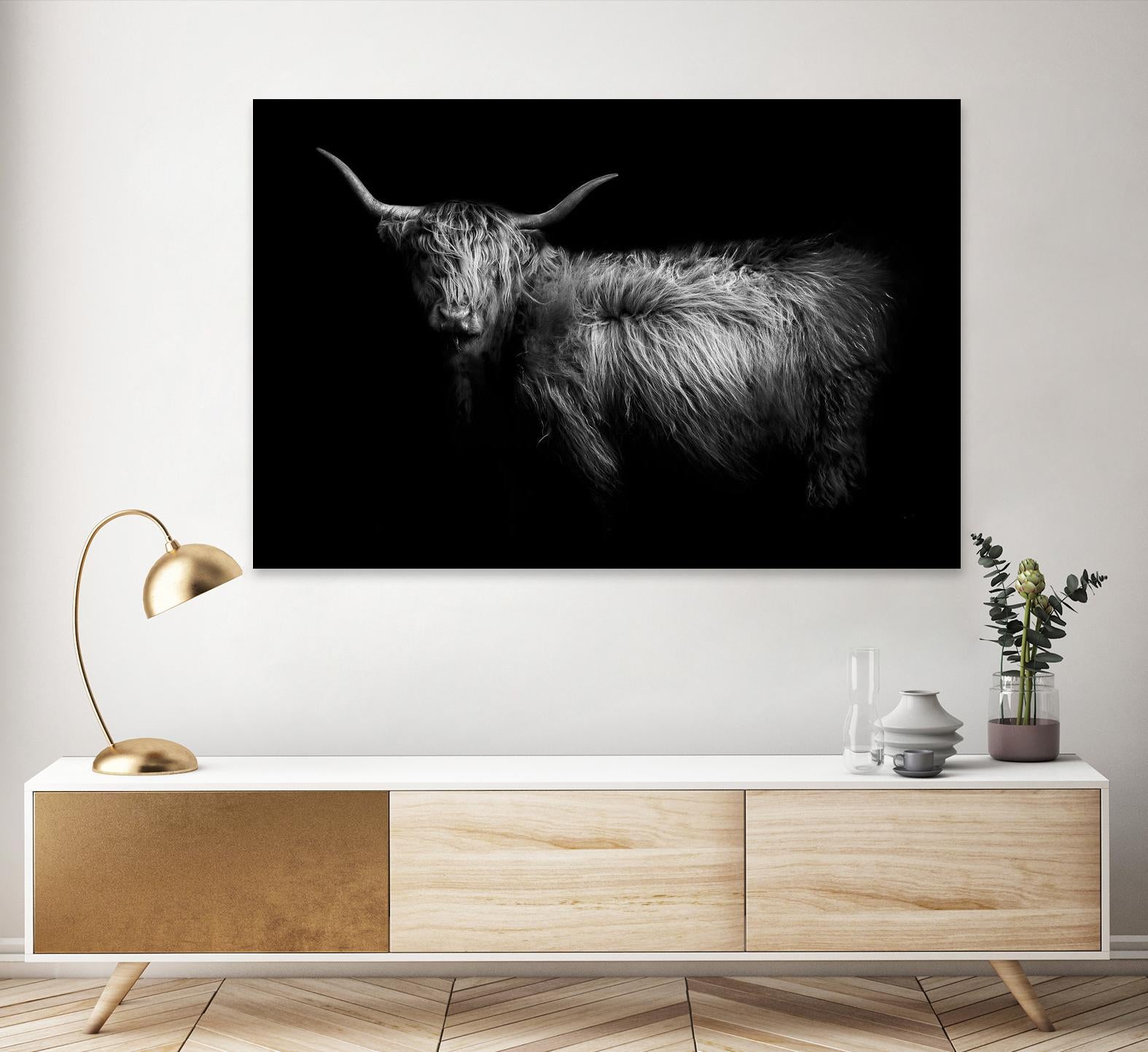 Hello by PhotoINC Studio on GIANT ART - multicolor animals; photography