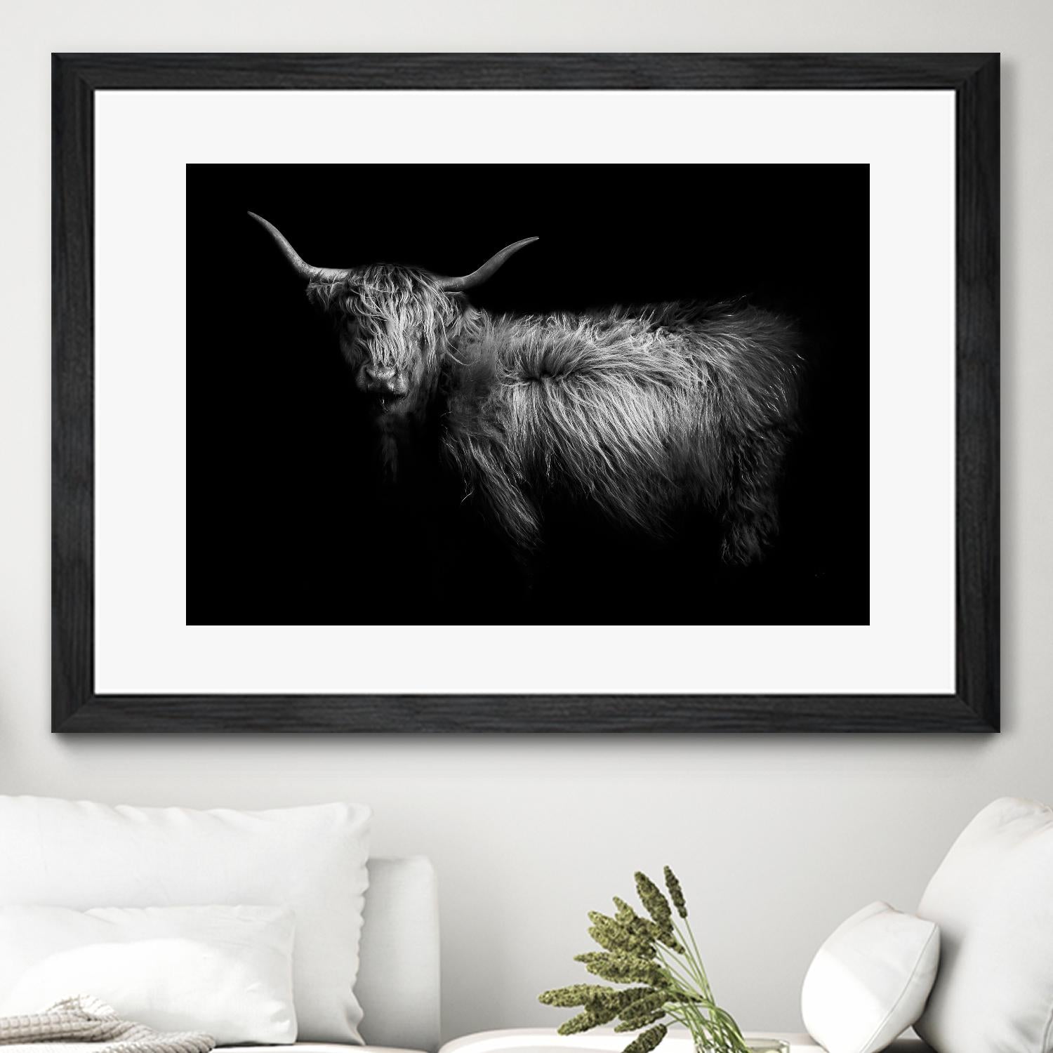 Hello by PhotoINC Studio on GIANT ART - multicolor animals; photography