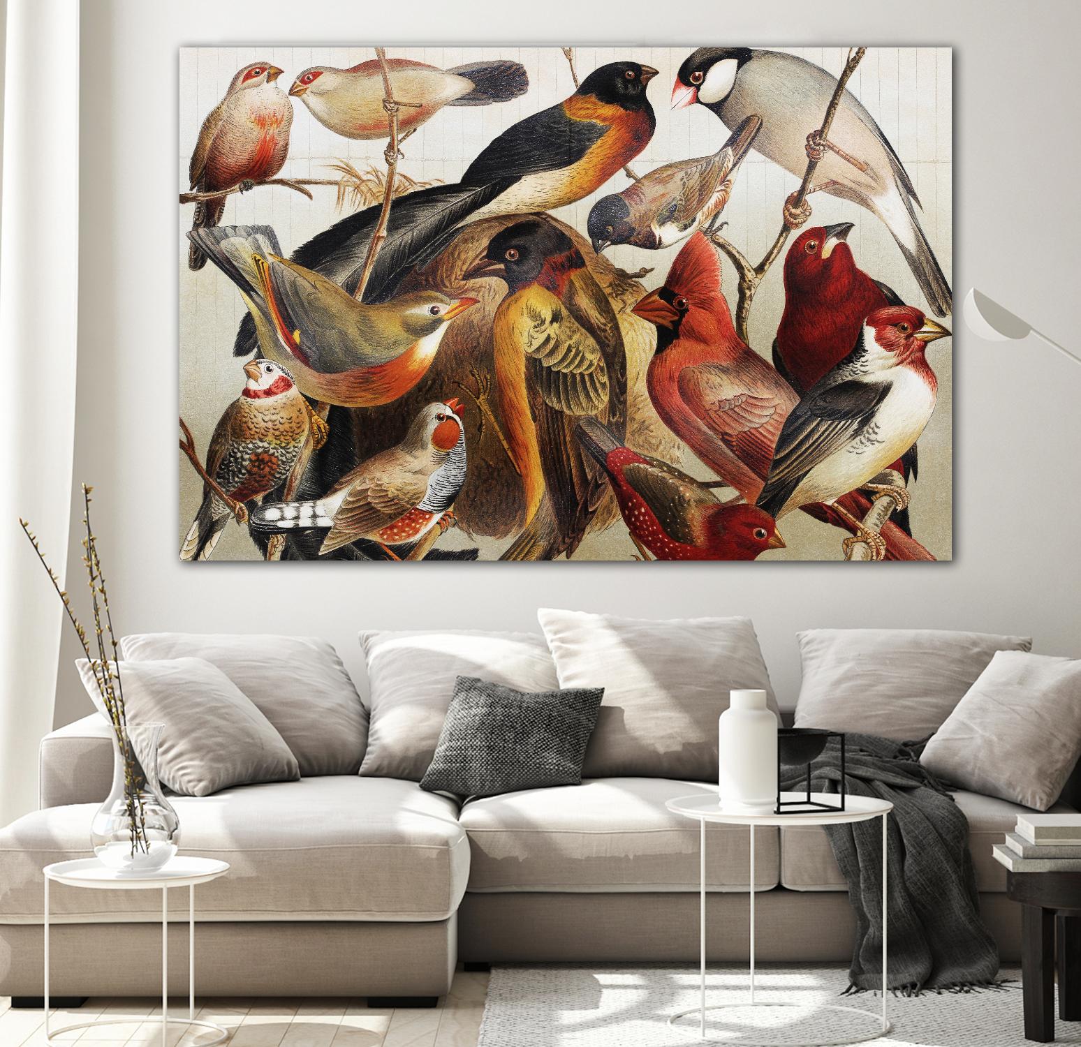 Collection II by PhotoINC Studio on GIANT ART - multicolor animals