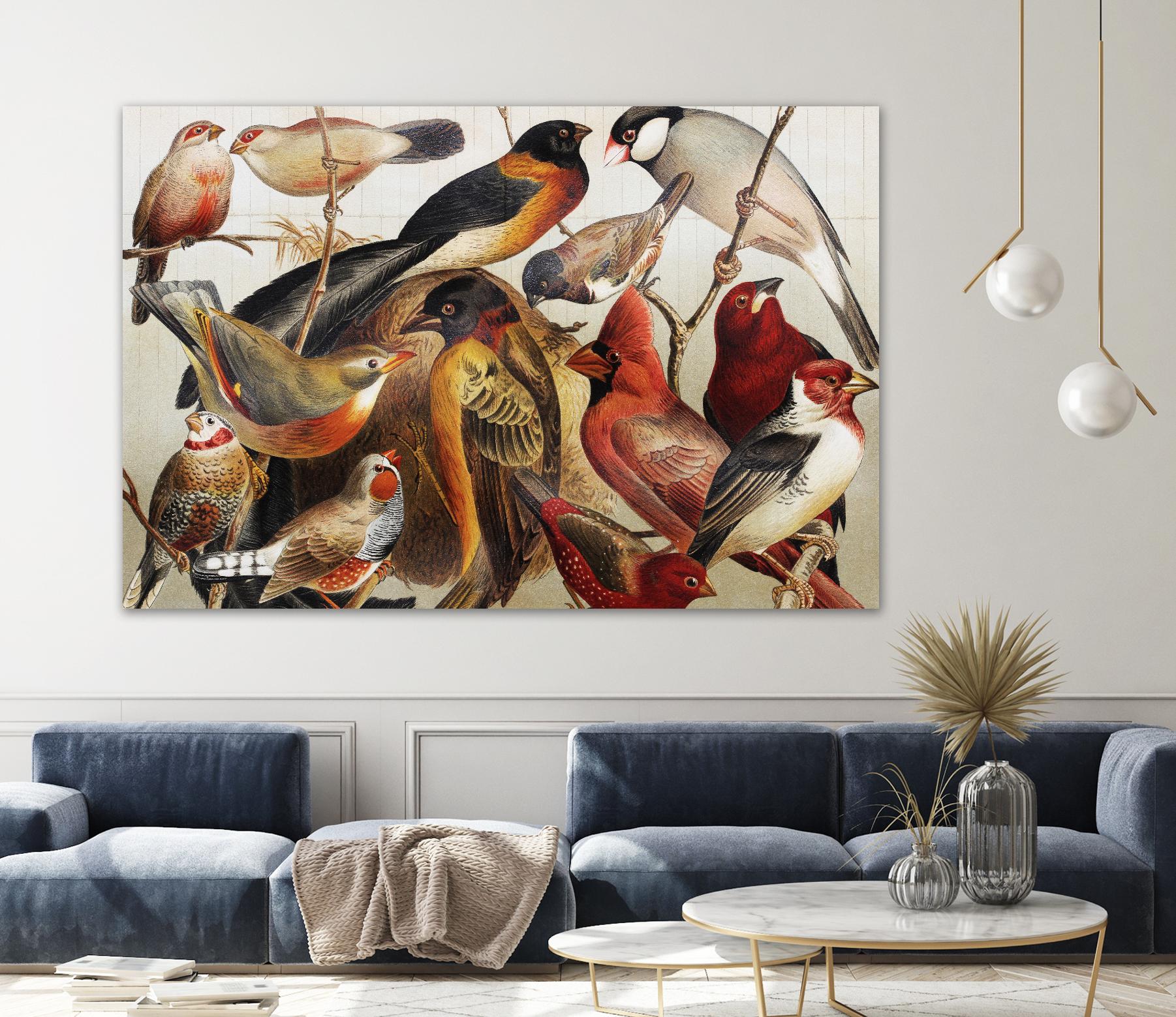 Collection II by PhotoINC Studio on GIANT ART - multicolor animals