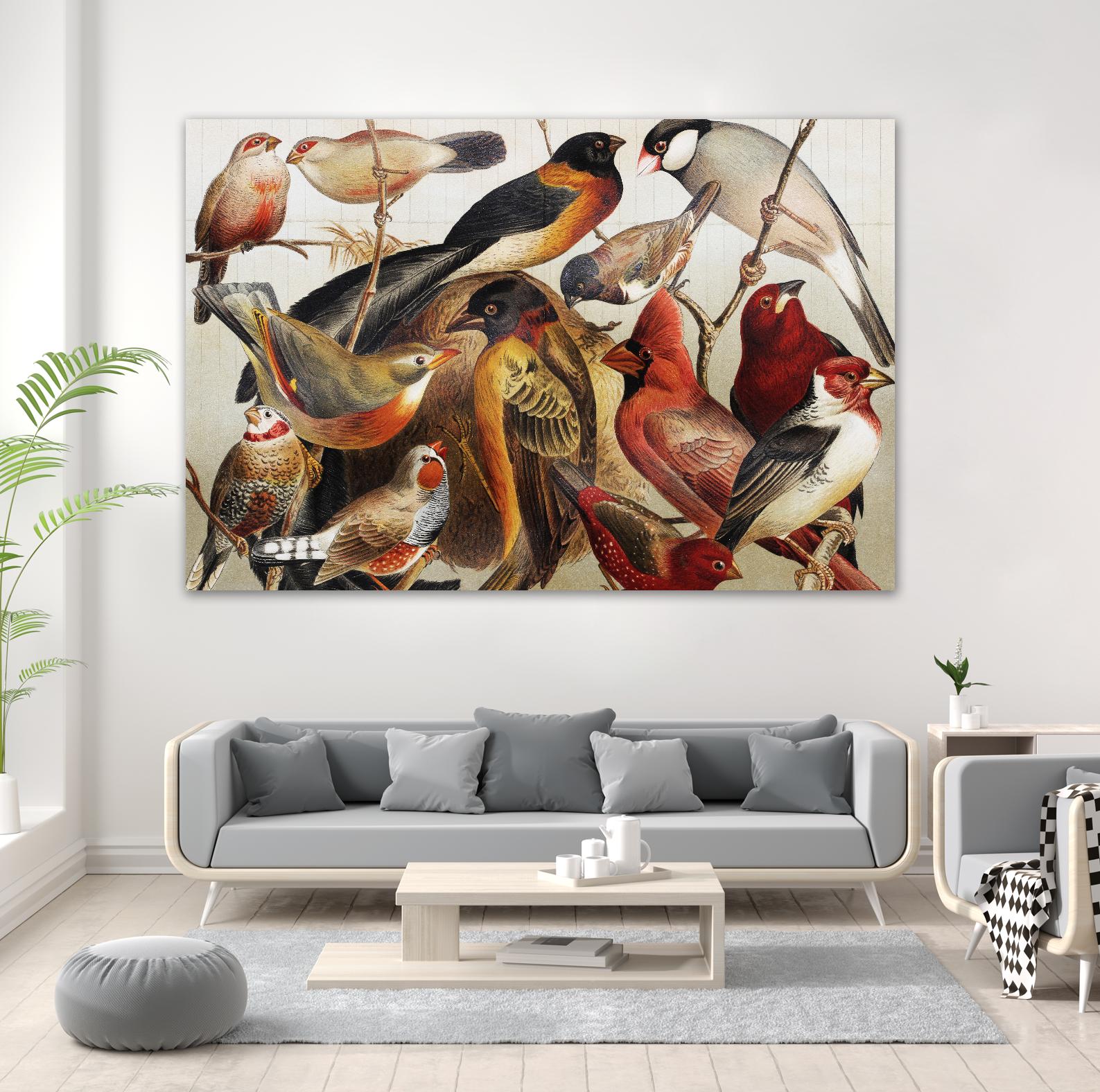 Collection II by PhotoINC Studio on GIANT ART - multicolor animals