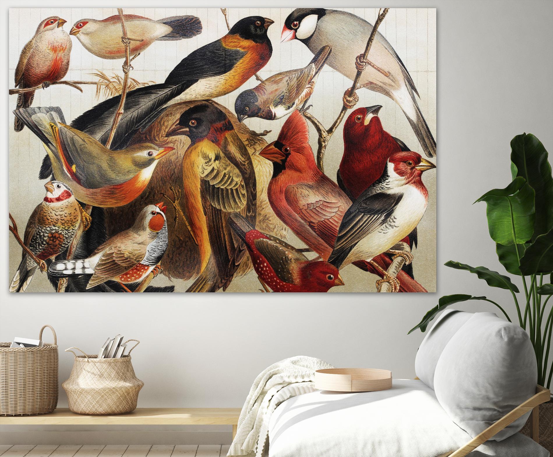 Collection II by PhotoINC Studio on GIANT ART - multicolor animals