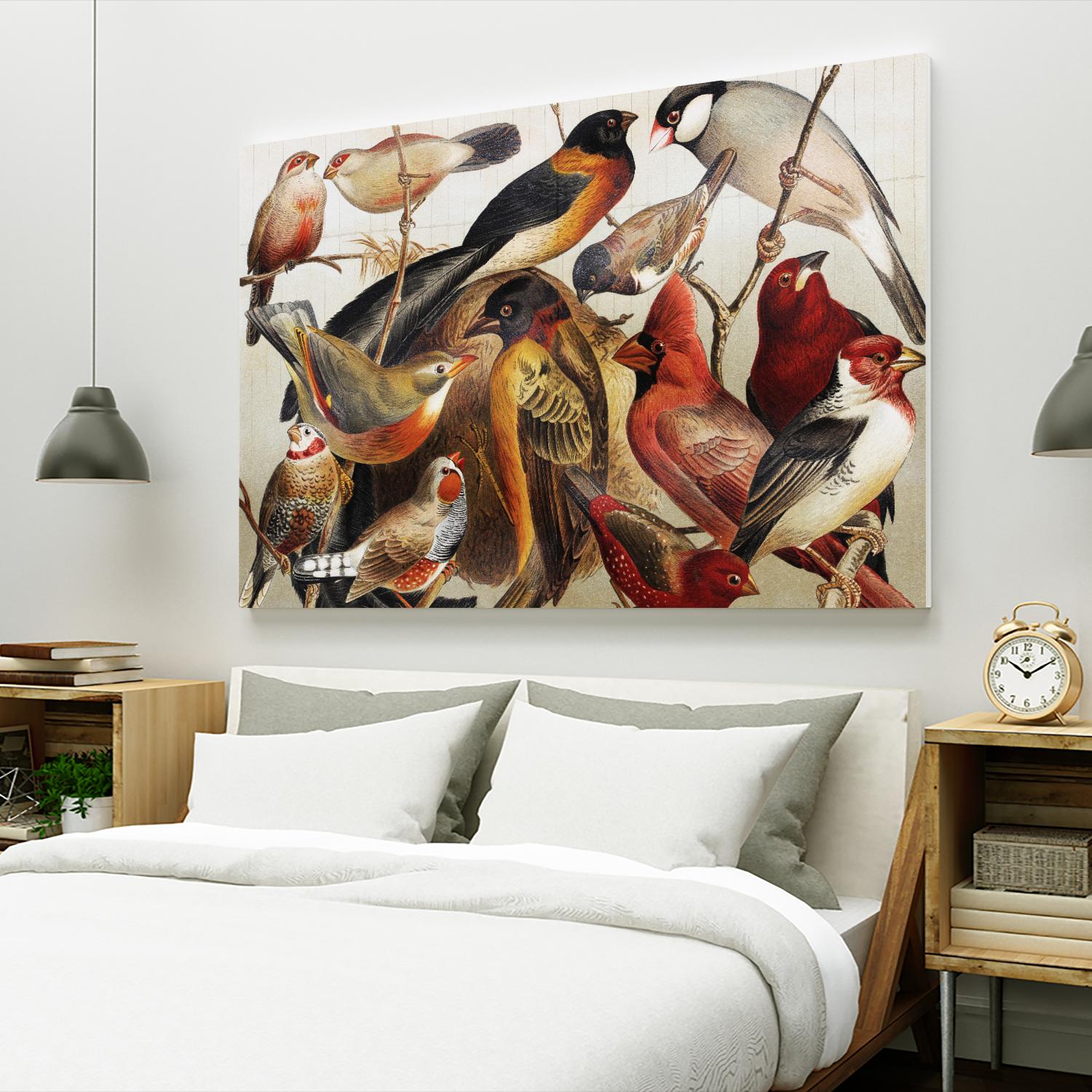 Collection II by PhotoINC Studio on GIANT ART - multicolor animals