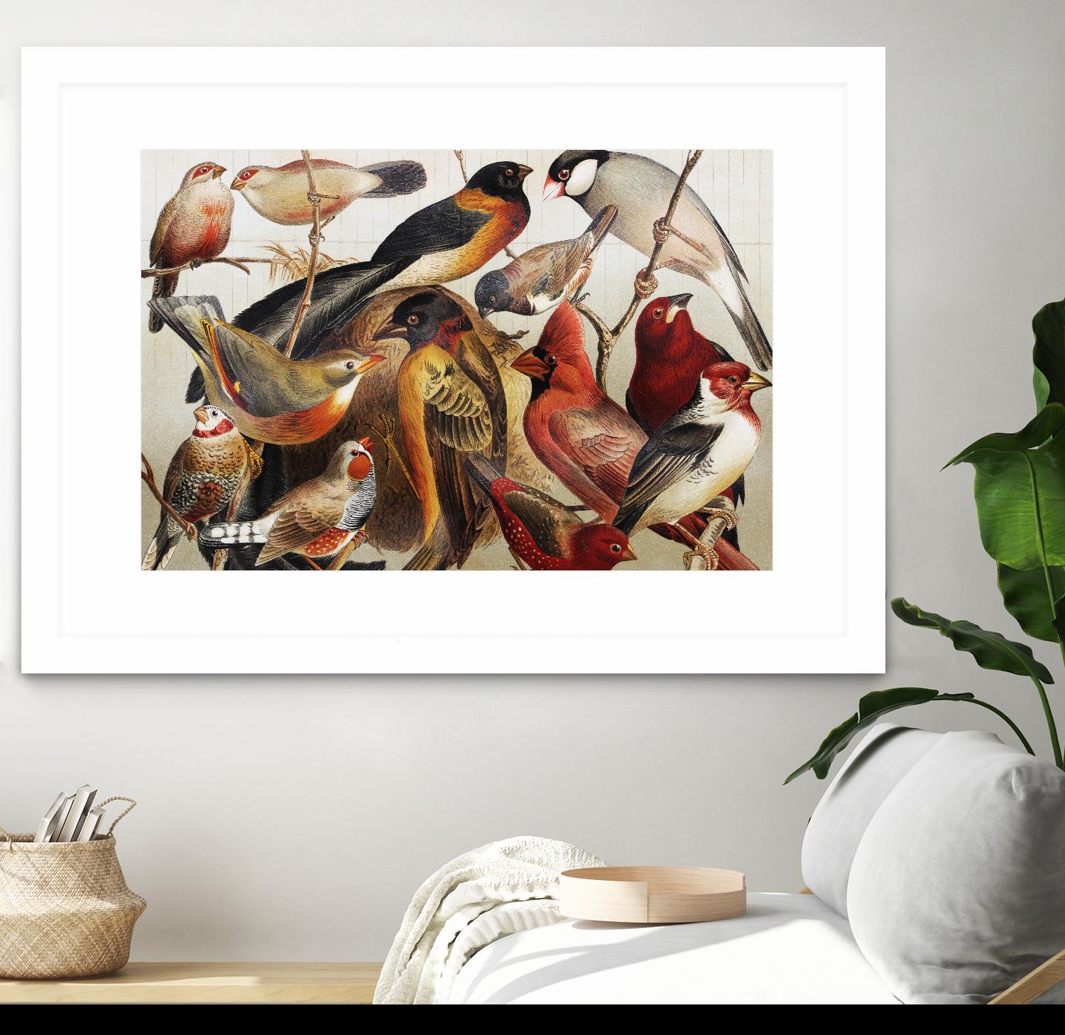 Collection II by PhotoINC Studio on GIANT ART - multicolor animals