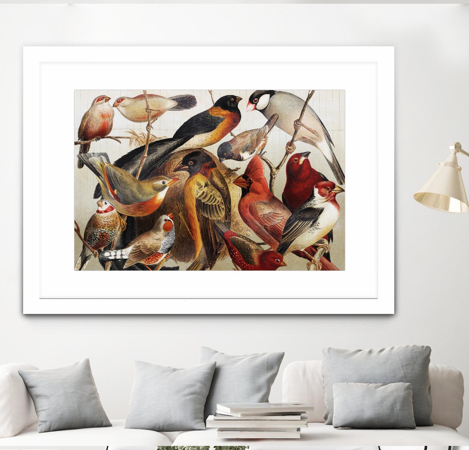 Collection II by PhotoINC Studio on GIANT ART - multicolor animals