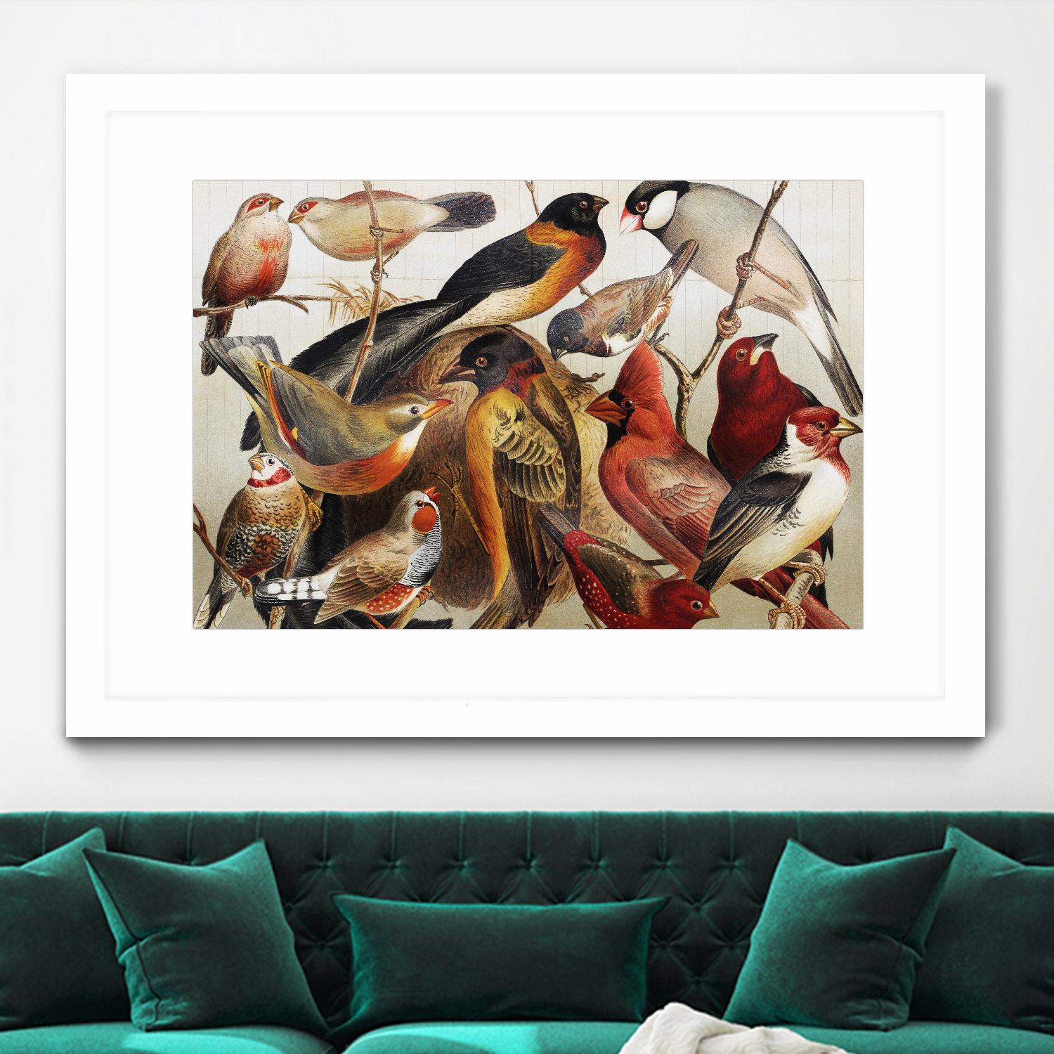 Collection II by PhotoINC Studio on GIANT ART - multicolor animals