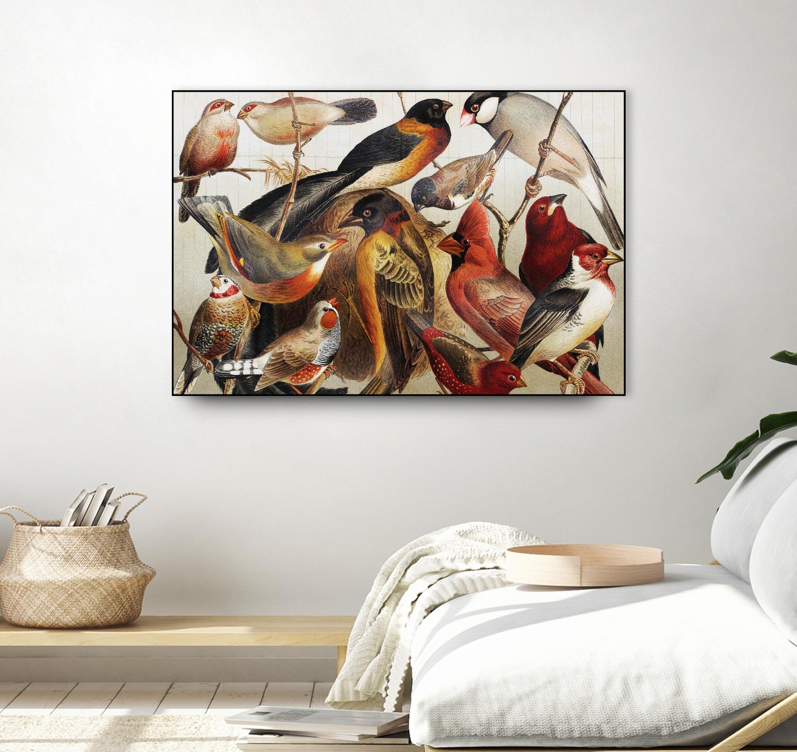 Collection II by PhotoINC Studio on GIANT ART - multicolor animals