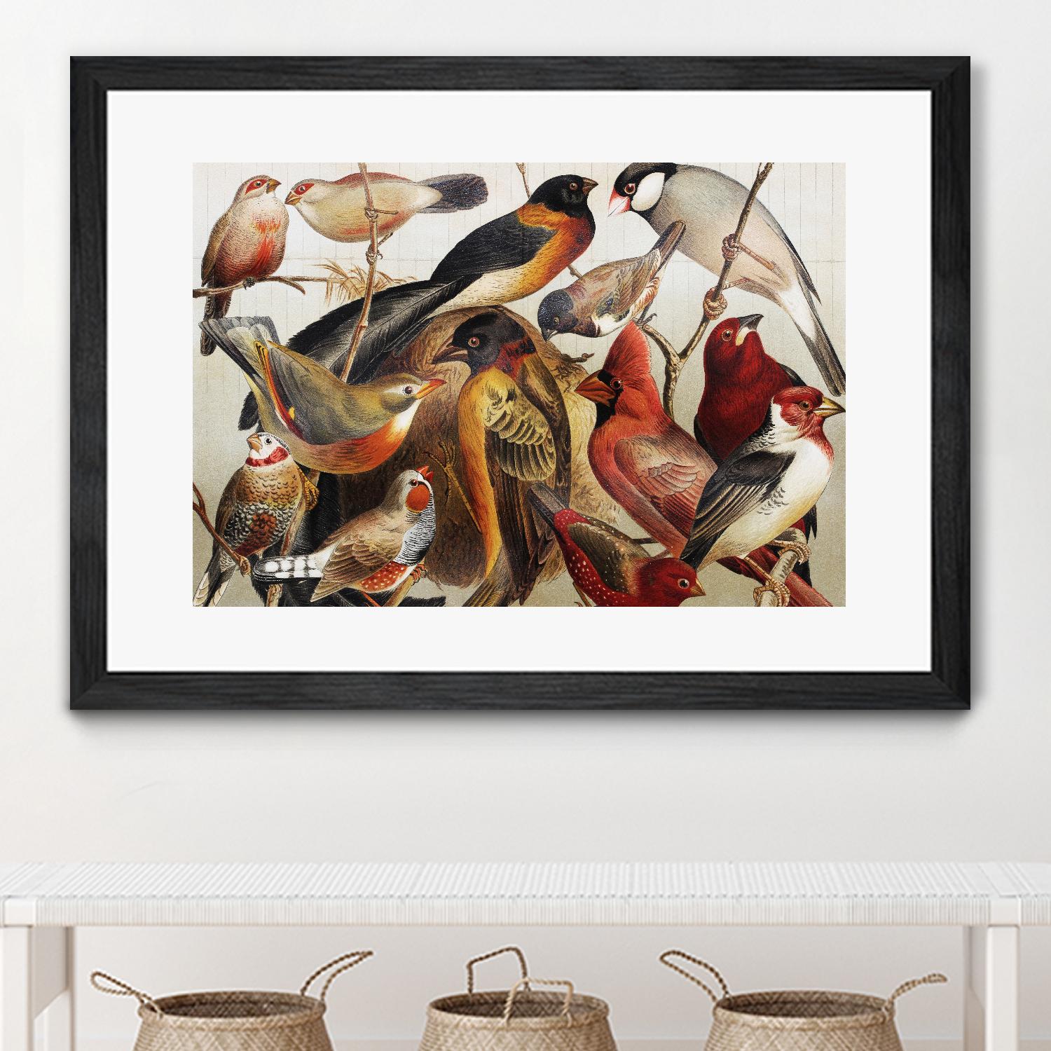 Collection II by PhotoINC Studio on GIANT ART - multicolor animals