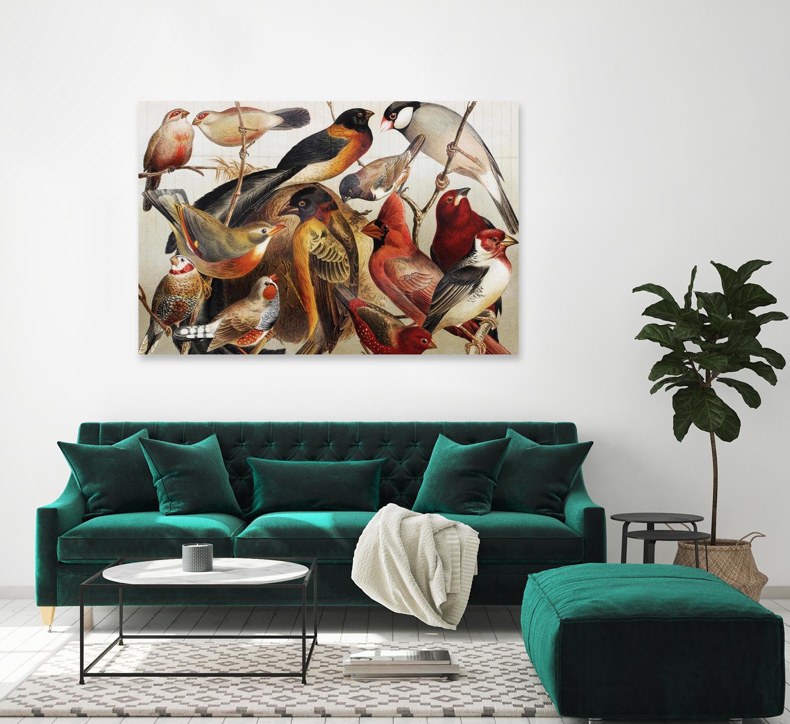 Collection II by PhotoINC Studio on GIANT ART - multicolor animals