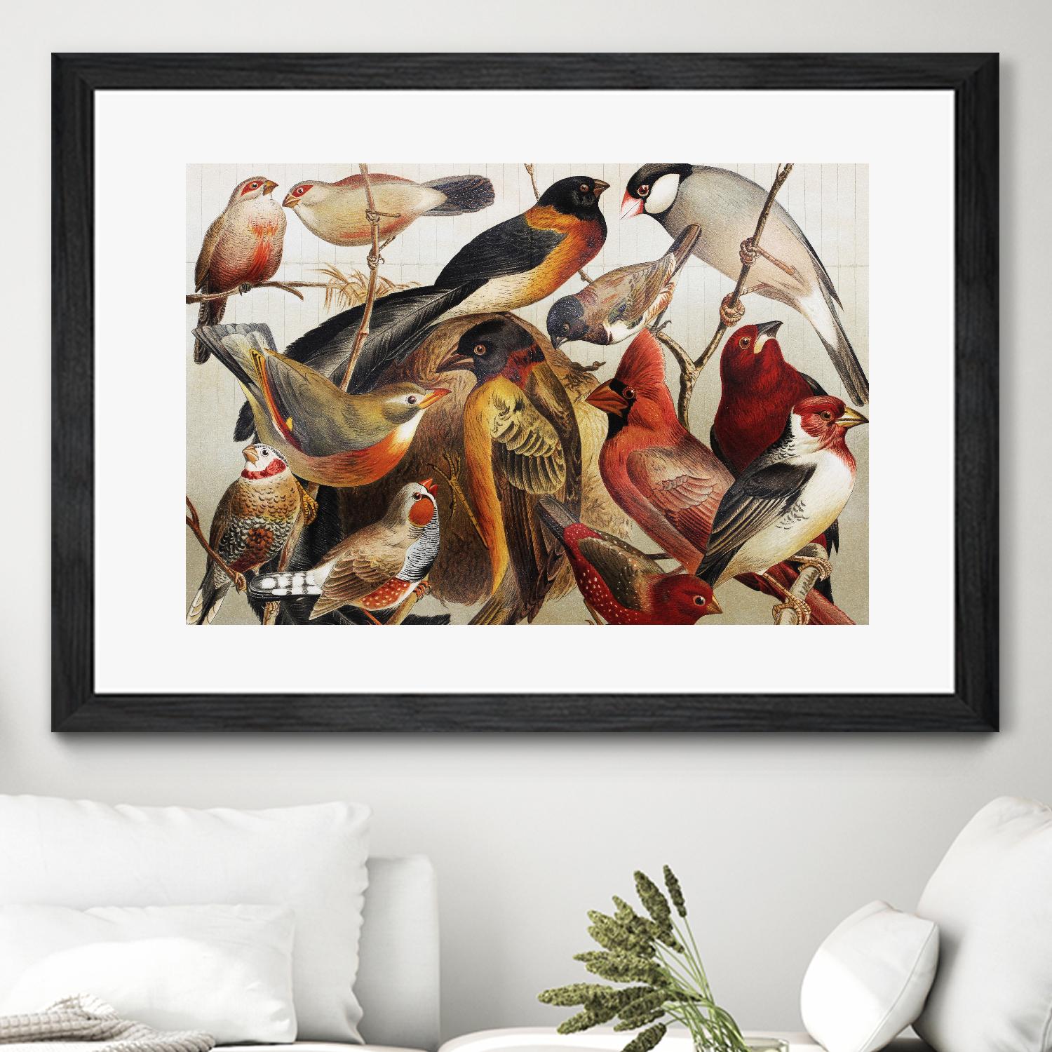 Collection II by PhotoINC Studio on GIANT ART - multicolor animals
