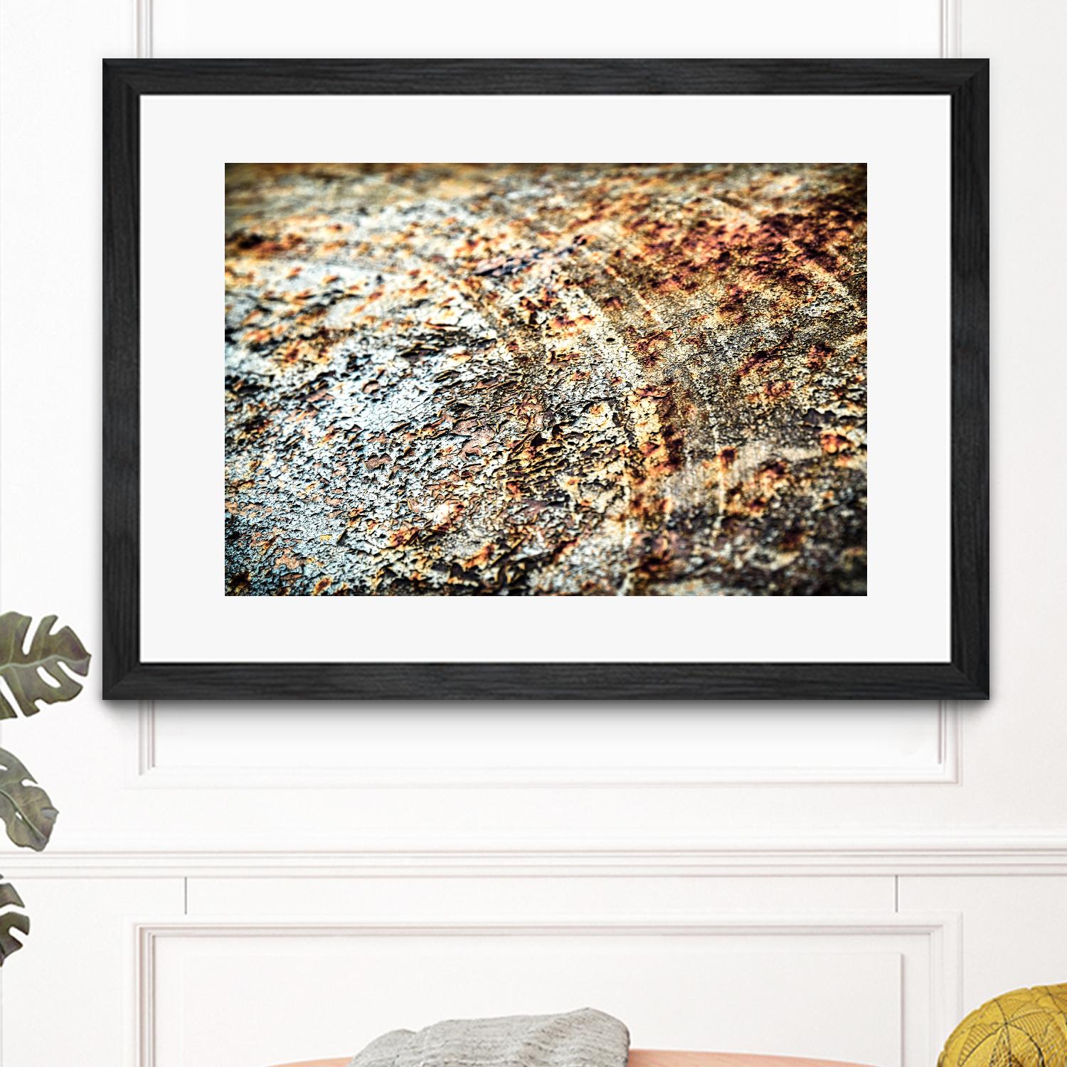 Retro Rust by PhotoINC Studio on GIANT ART - multicolor photography; floral/still life