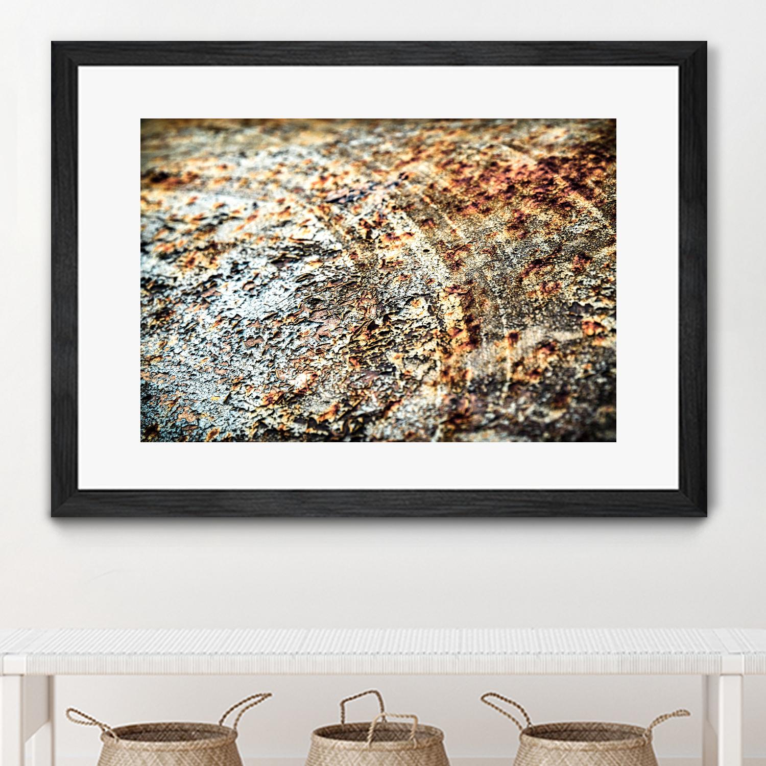 Retro Rust by PhotoINC Studio on GIANT ART - multicolor photography; floral/still life