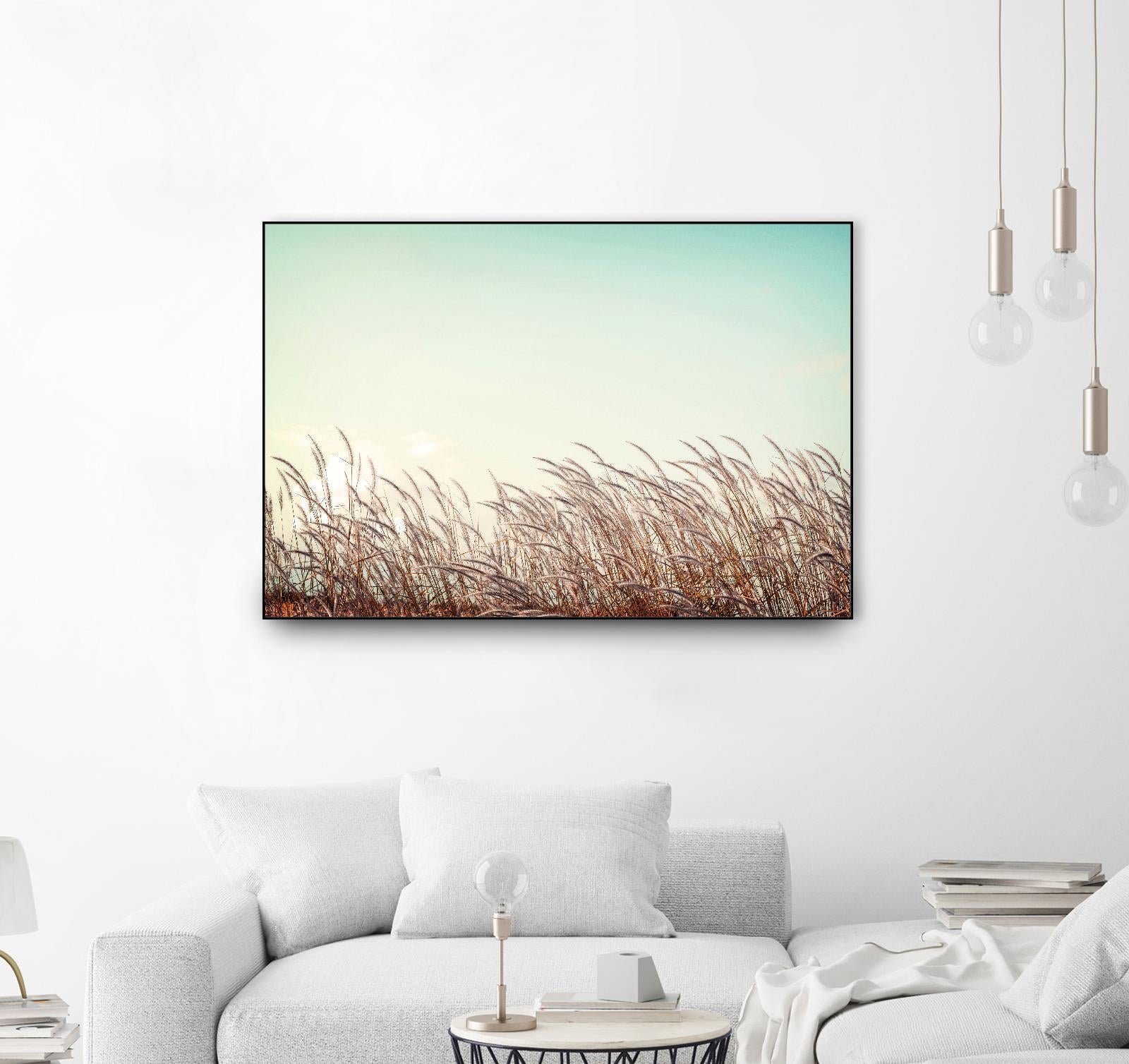 Retro Grass by PhotoINC Studio on GIANT ART - multicolor photography; landscapes