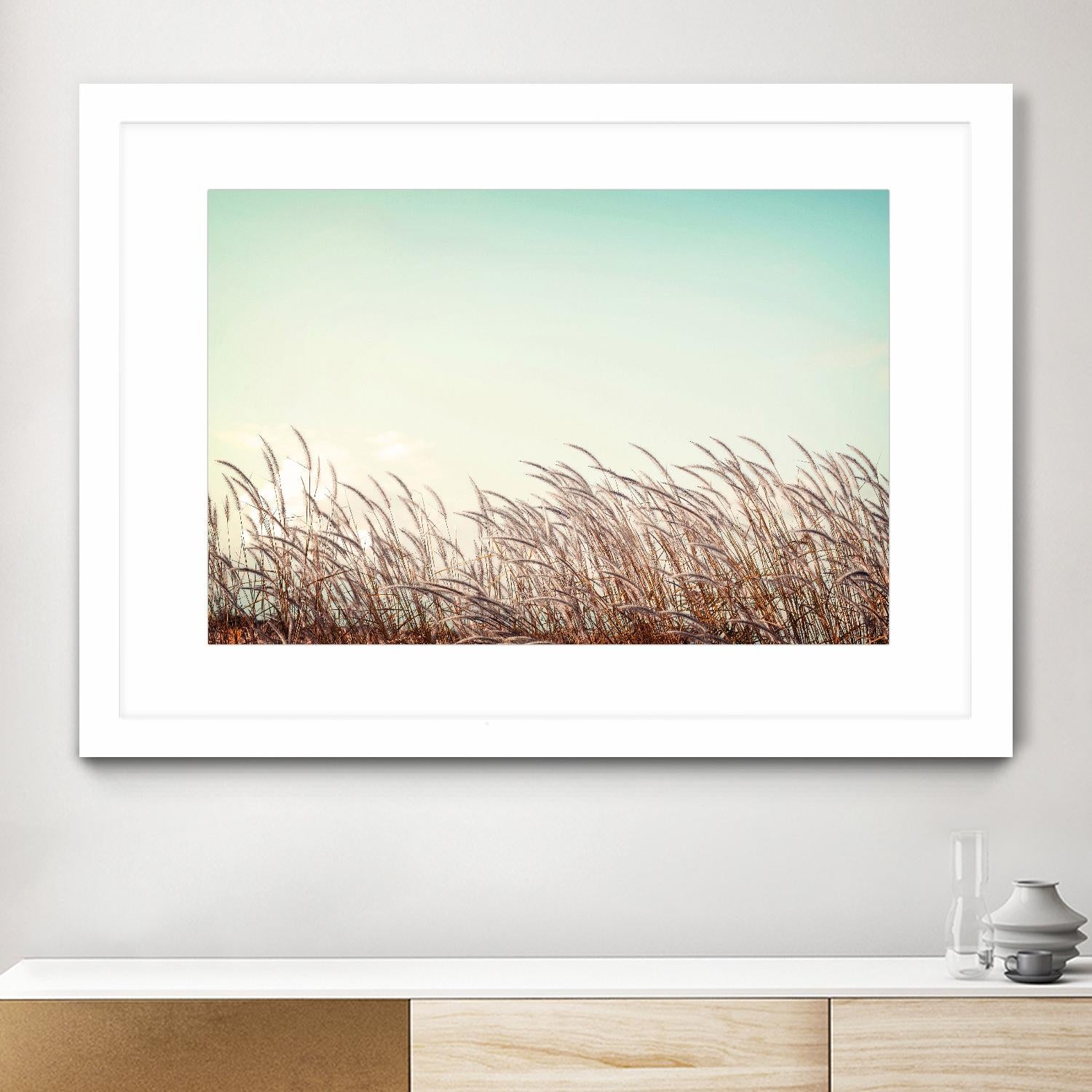 Retro Grass by PhotoINC Studio on GIANT ART - multicolor photography; landscapes