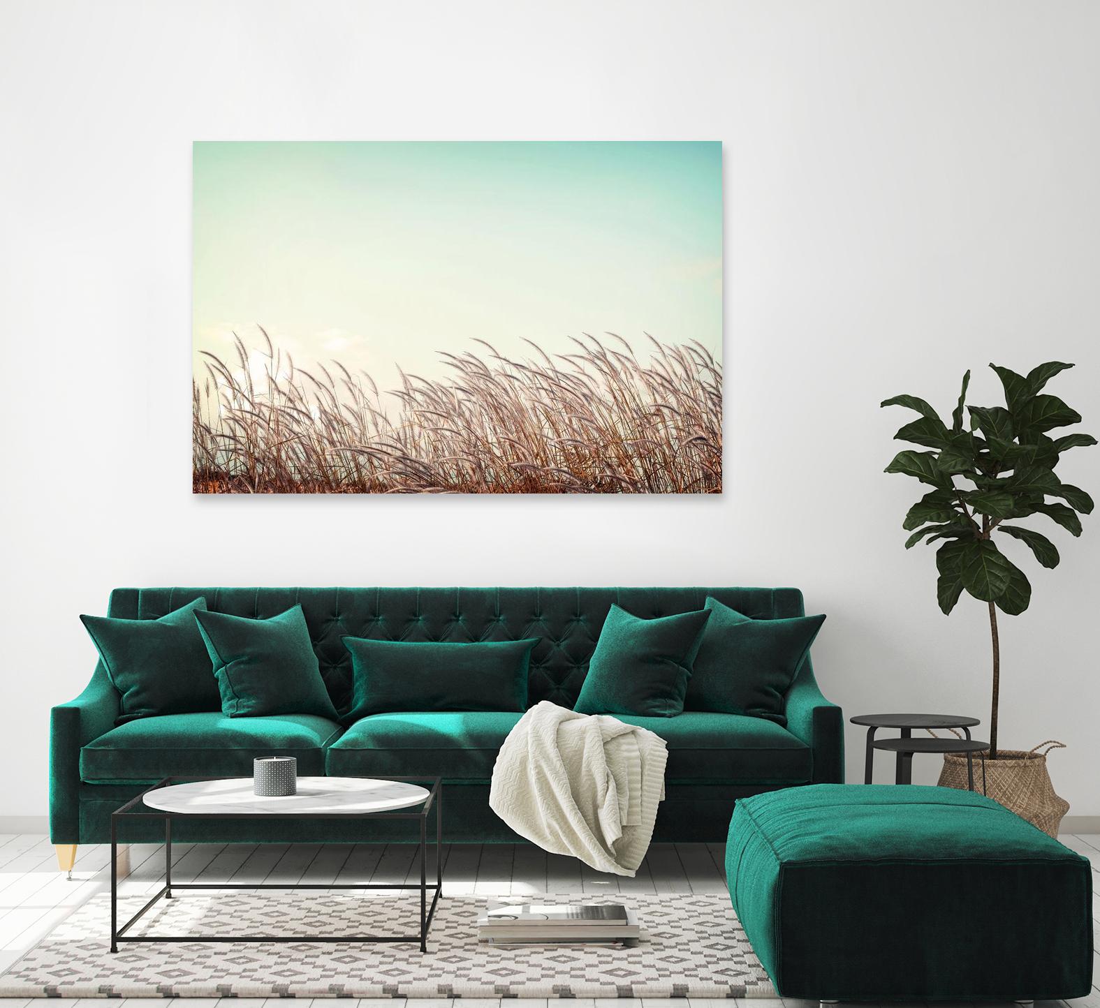 Retro Grass by PhotoINC Studio on GIANT ART - multicolor photography; landscapes