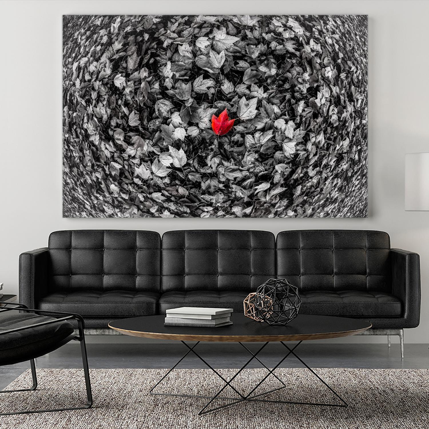 Alone by Vladimir Kostka on GIANT ART - multicolor photography; floral/still life