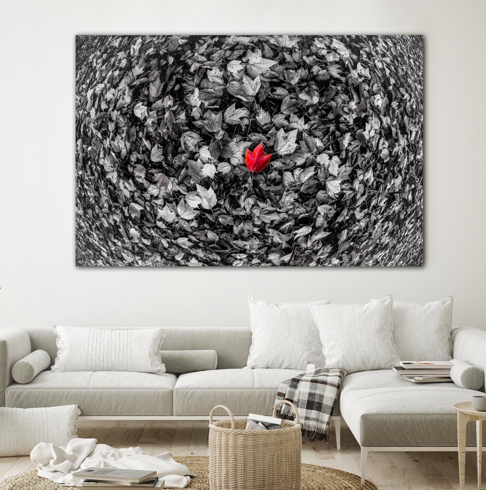 Alone by Vladimir Kostka on GIANT ART - multicolor photography; floral/still life