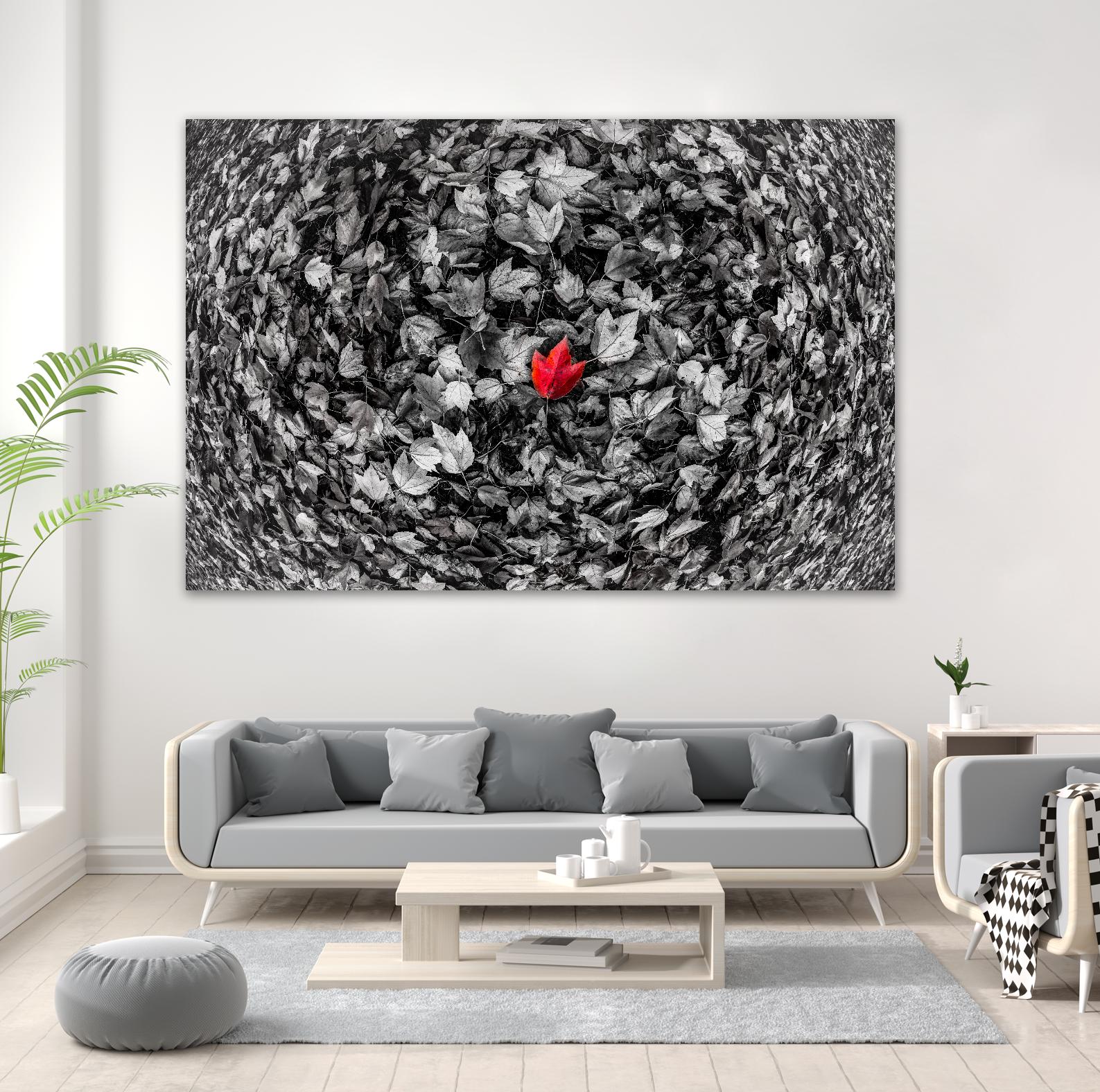 Alone by Vladimir Kostka on GIANT ART - multicolor photography; floral/still life