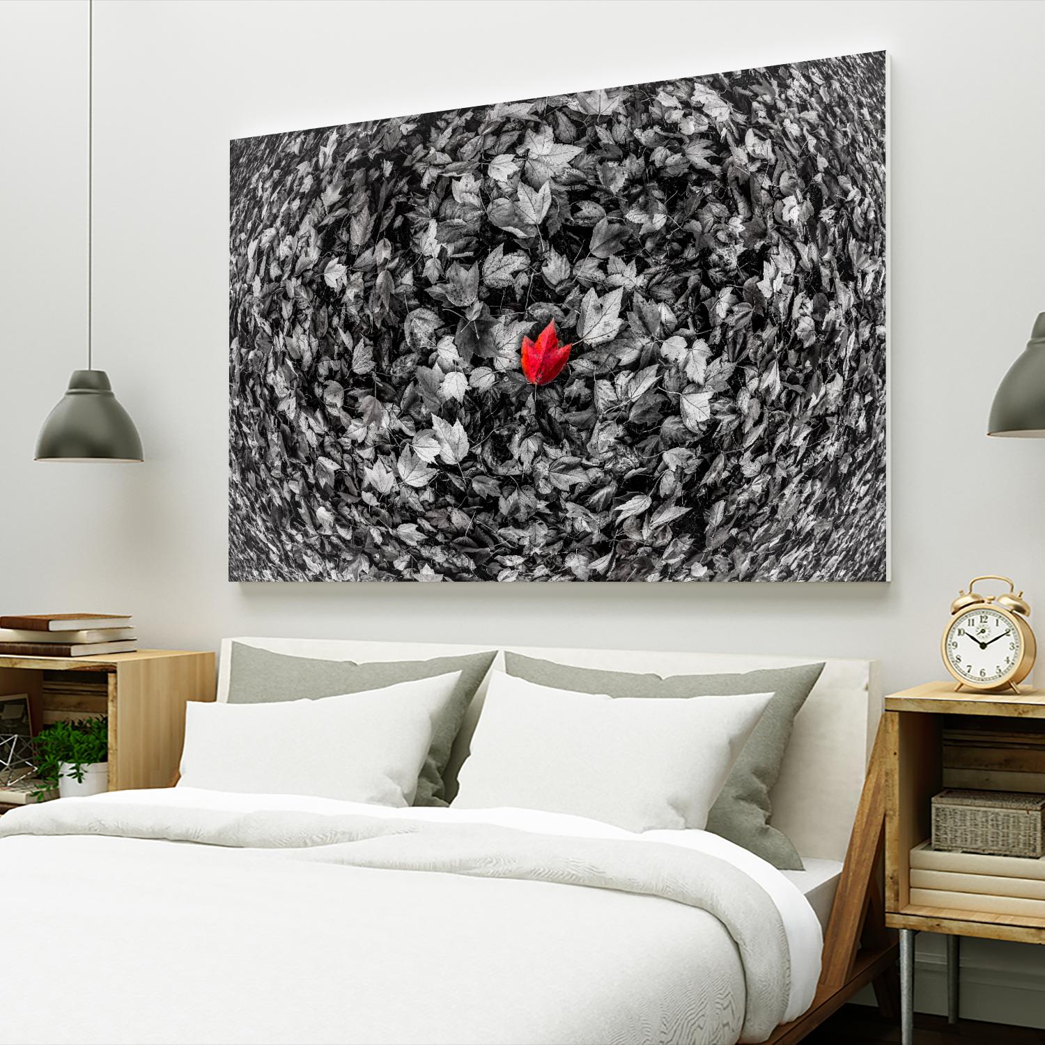 Alone by Vladimir Kostka on GIANT ART - multicolor photography; floral/still life