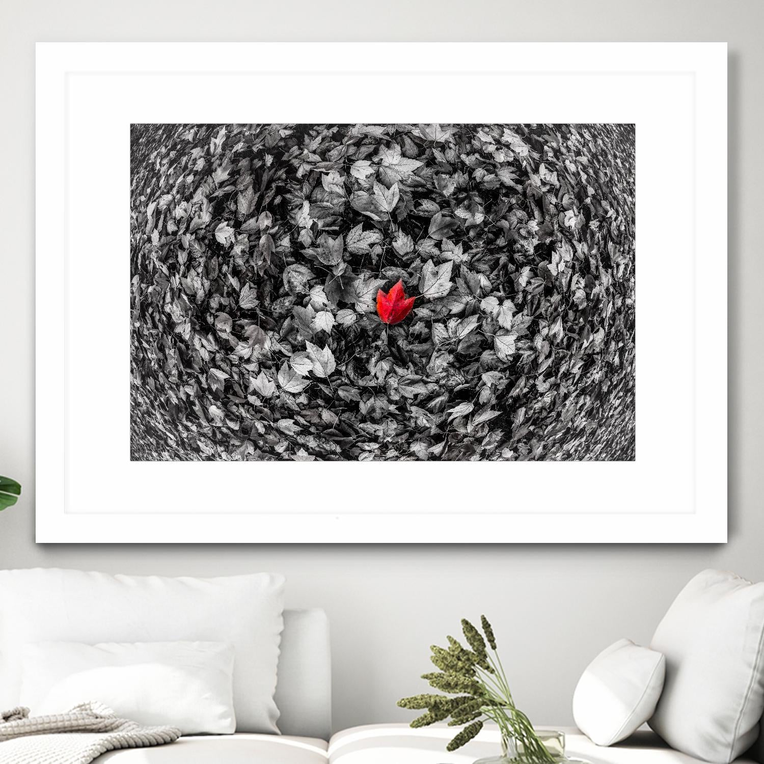 Alone by Vladimir Kostka on GIANT ART - multicolor photography; floral/still life