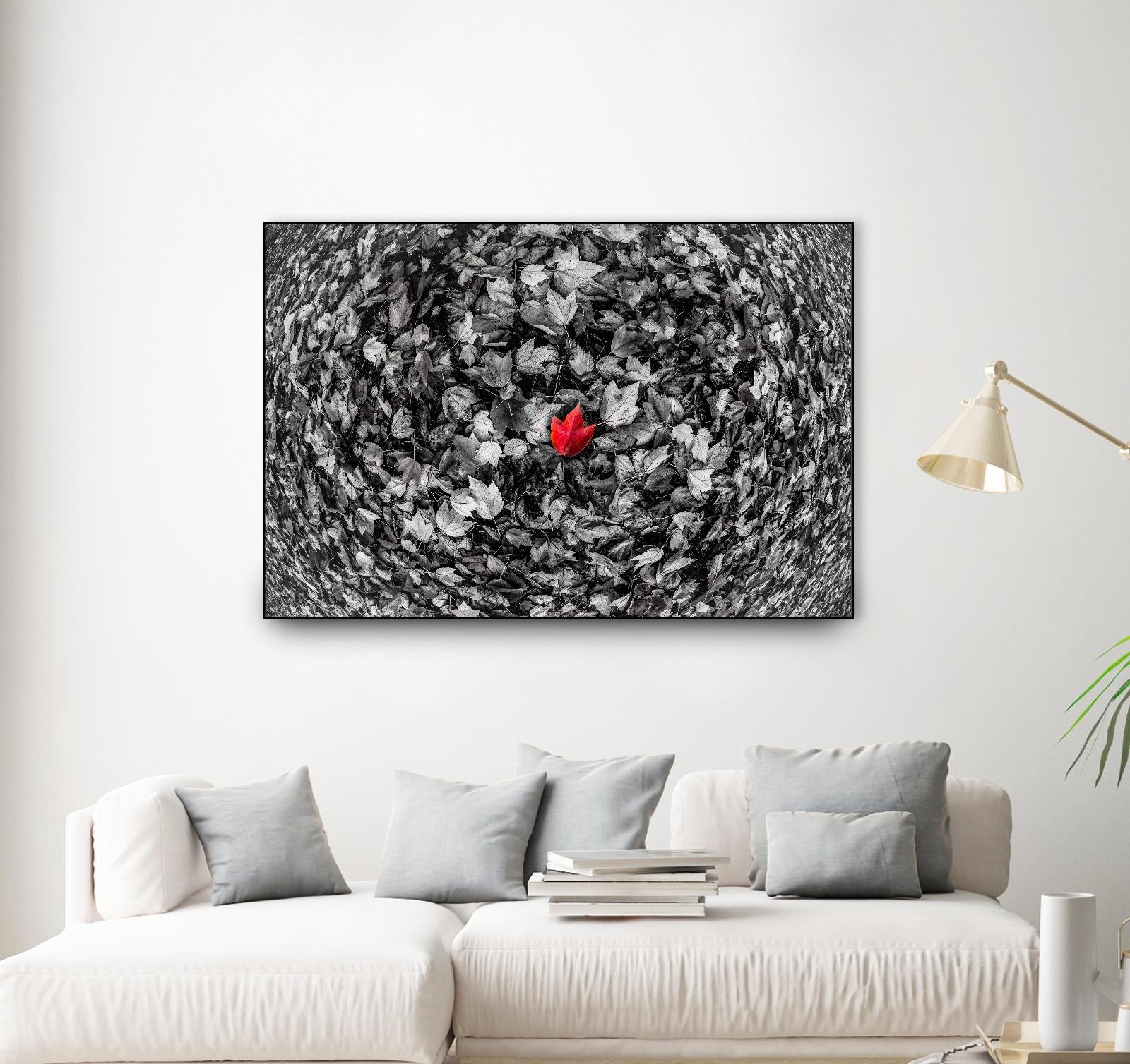 Alone by Vladimir Kostka on GIANT ART - multicolor photography; floral/still life