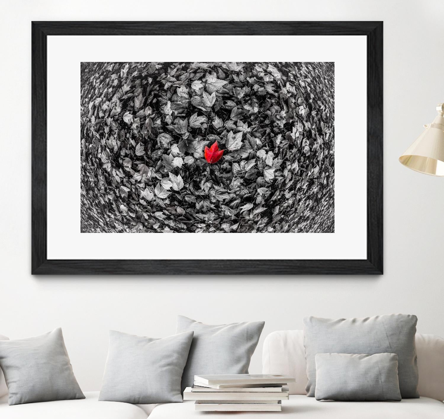 Alone by Vladimir Kostka on GIANT ART - multicolor photography; floral/still life