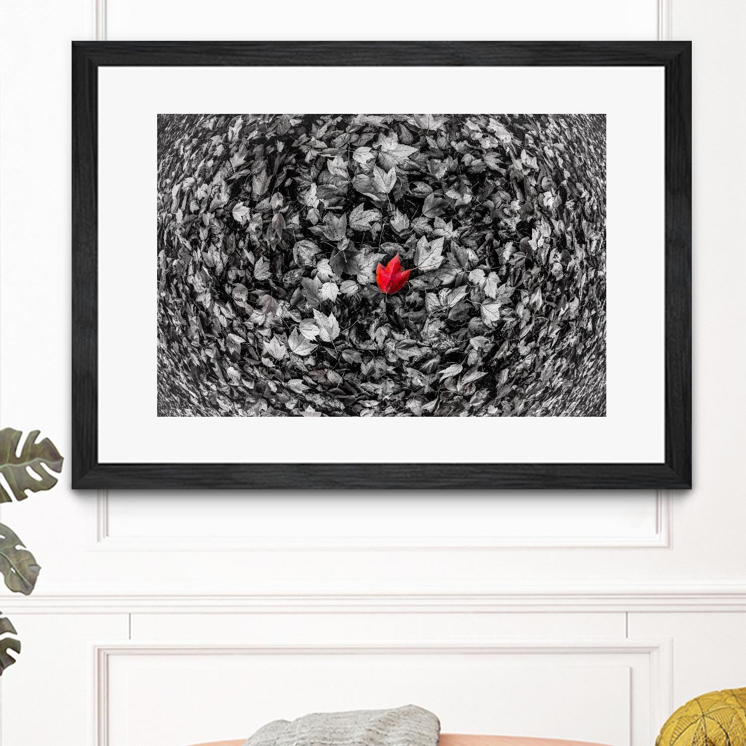 Alone by Vladimir Kostka on GIANT ART - multicolor photography; floral/still life