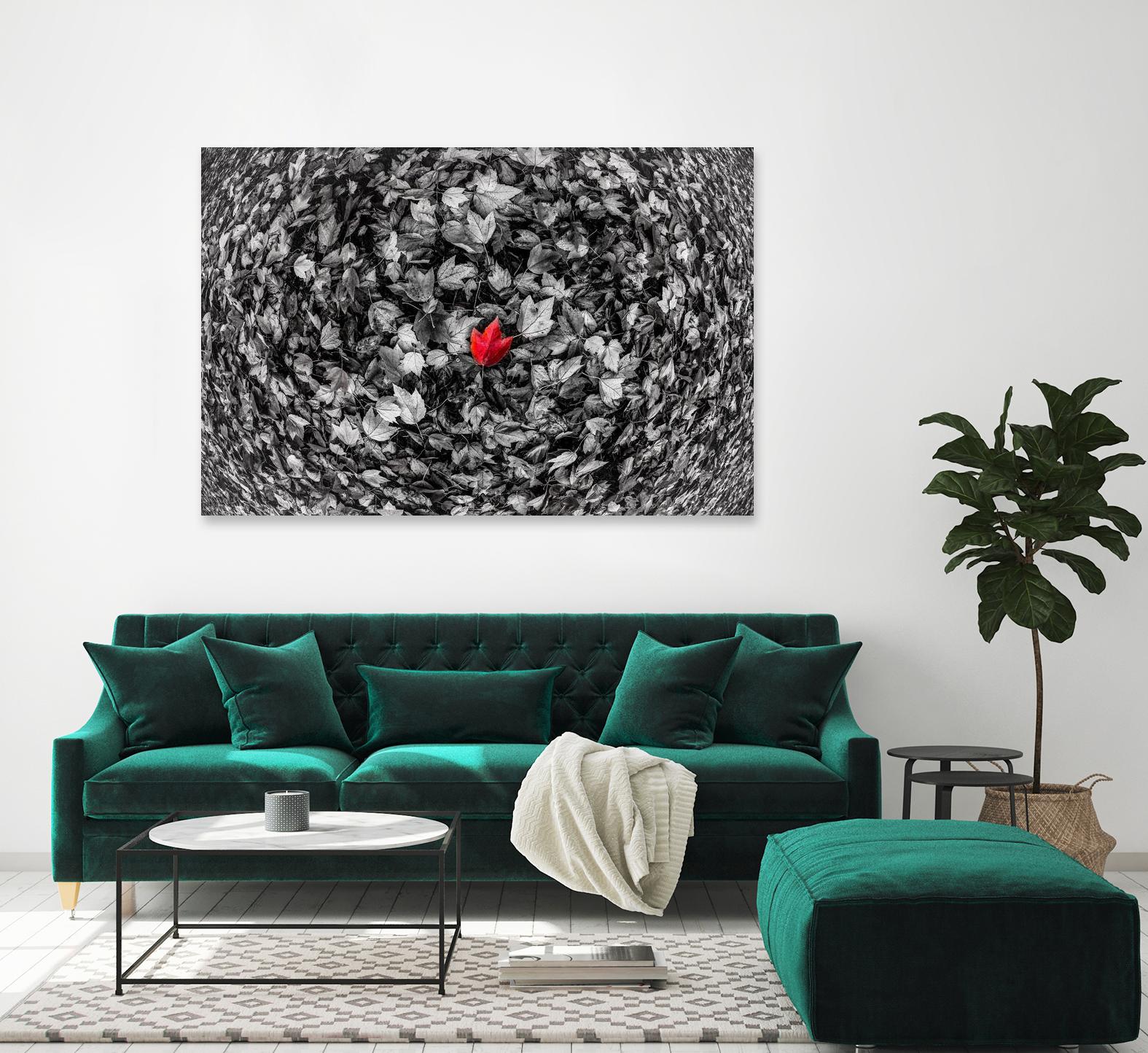 Alone by Vladimir Kostka on GIANT ART - multicolor photography; floral/still life