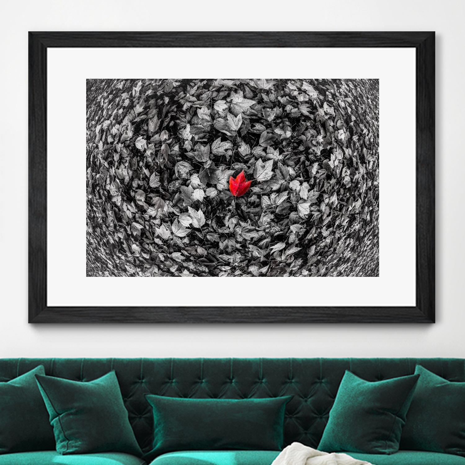 Alone by Vladimir Kostka on GIANT ART - multicolor photography; floral/still life