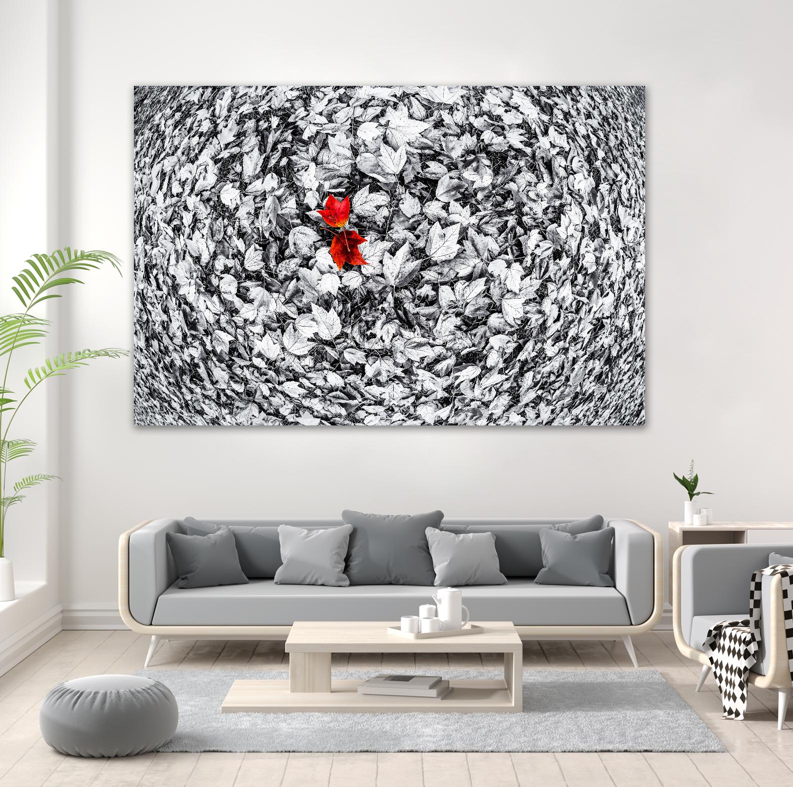 Together by Vladimir Kostka on GIANT ART - multicolor photography; floral/still life