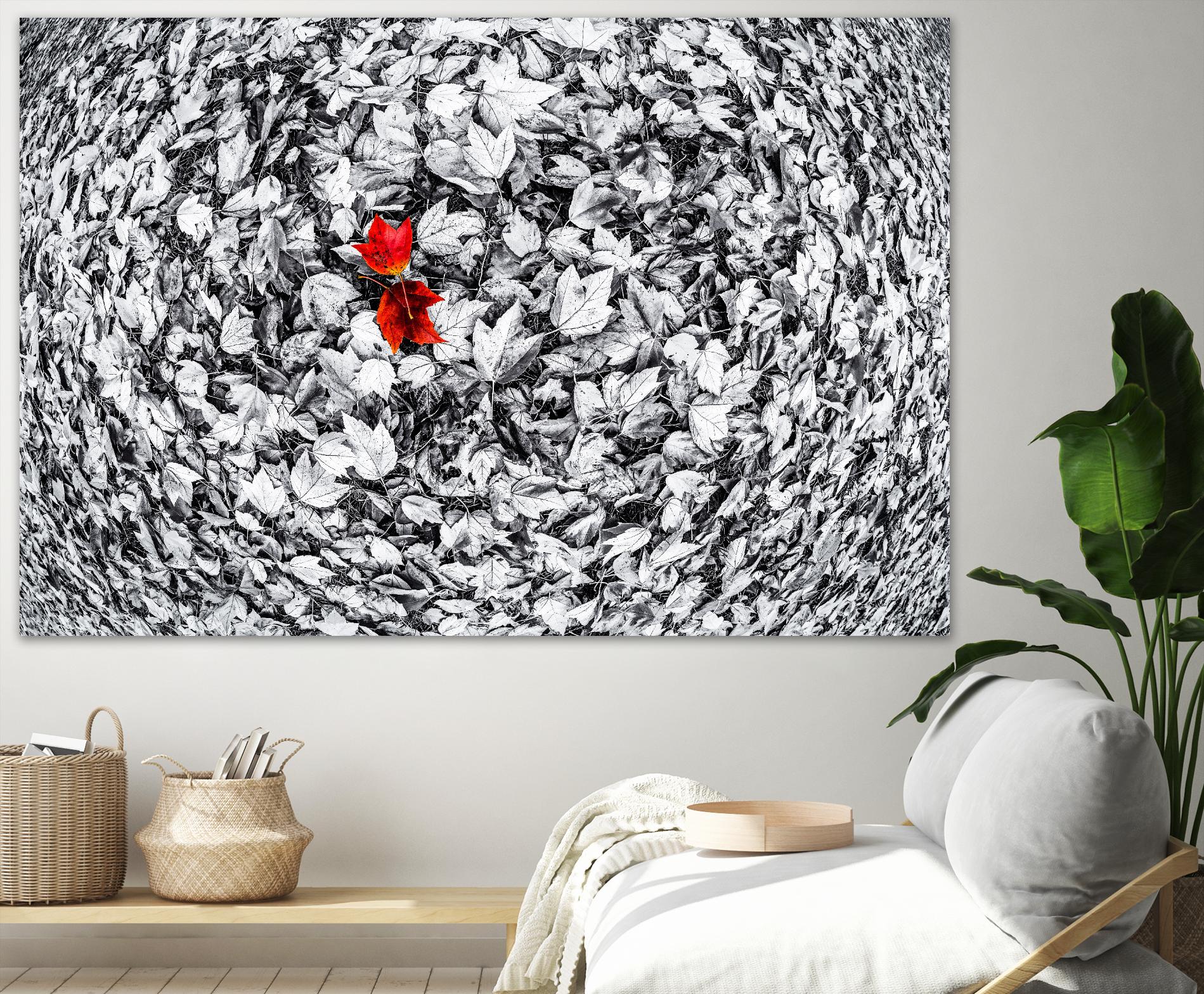 Together by Vladimir Kostka on GIANT ART - multicolor photography; floral/still life