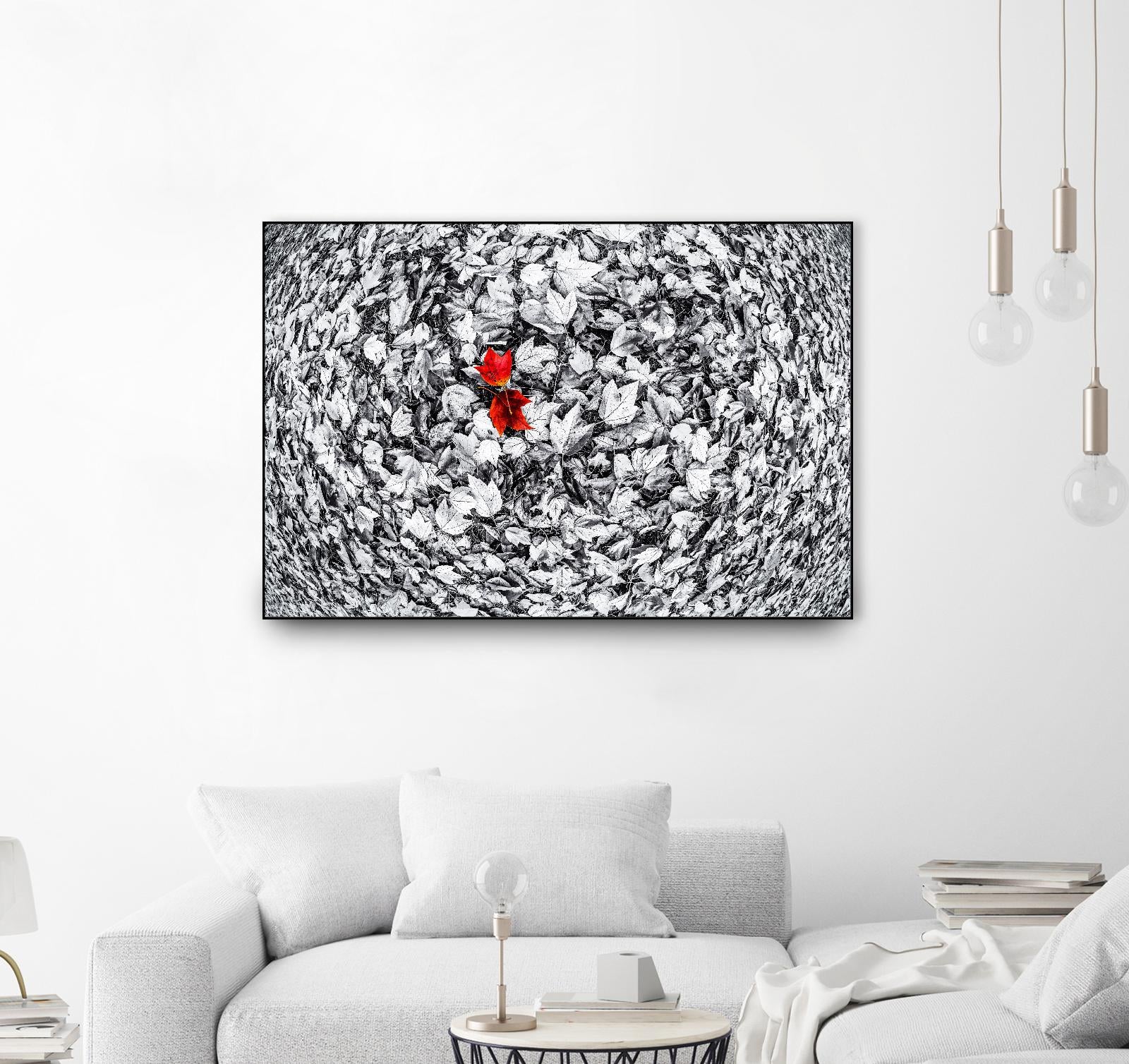 Together by Vladimir Kostka on GIANT ART - multicolor photography; floral/still life