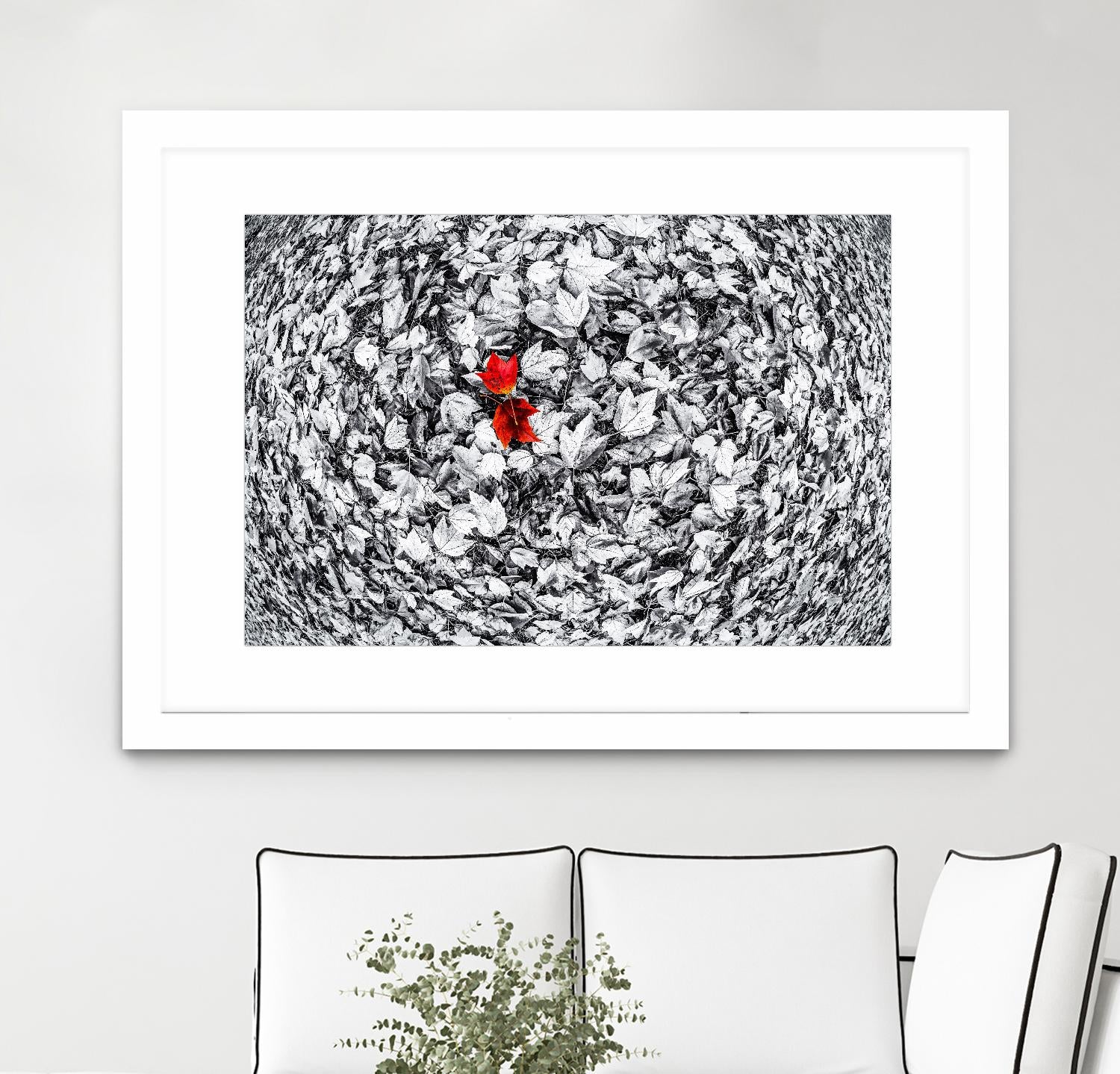 Together by Vladimir Kostka on GIANT ART - multicolor photography; floral/still life