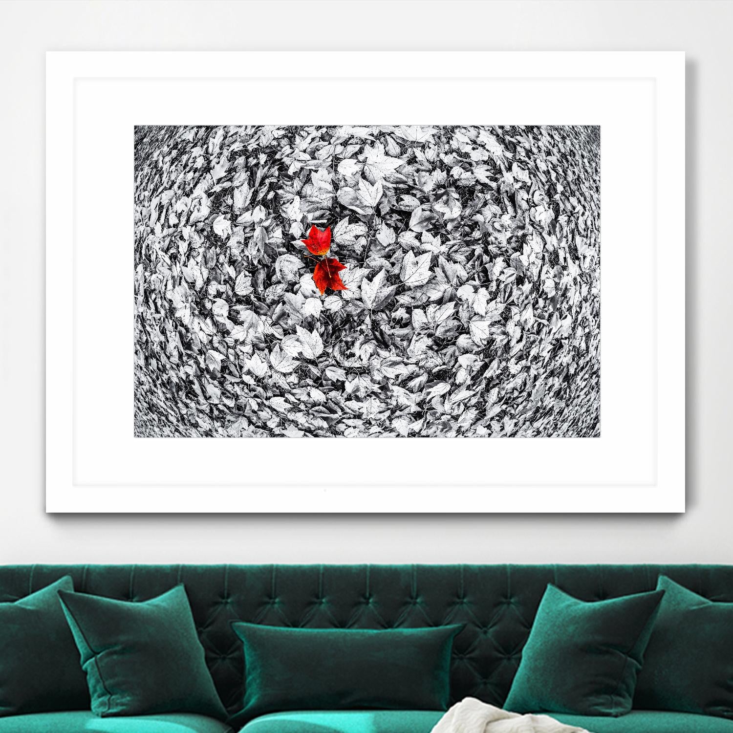 Together by Vladimir Kostka on GIANT ART - multicolor photography; floral/still life