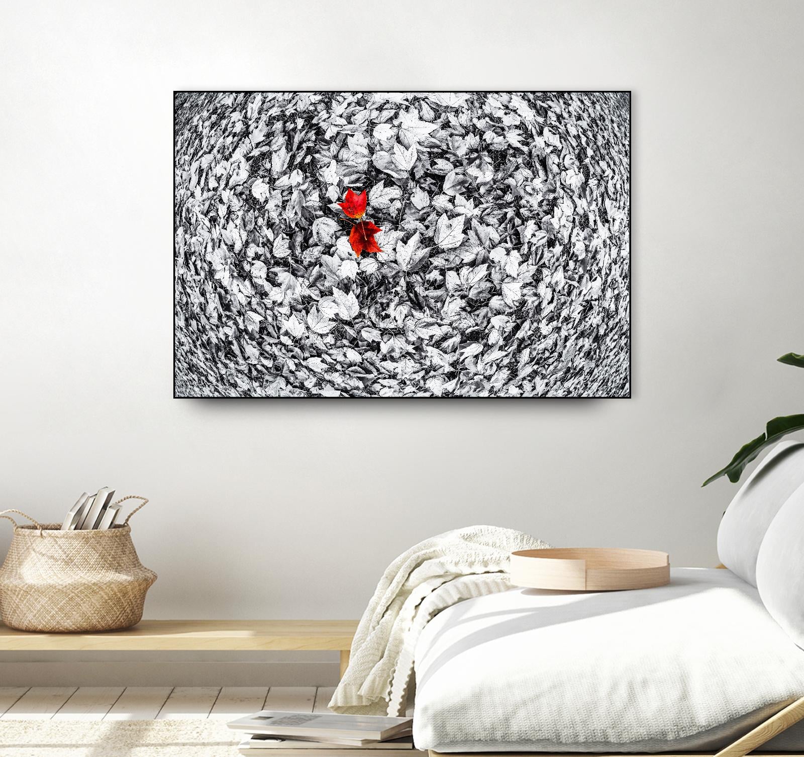 Together by Vladimir Kostka on GIANT ART - multicolor photography; floral/still life