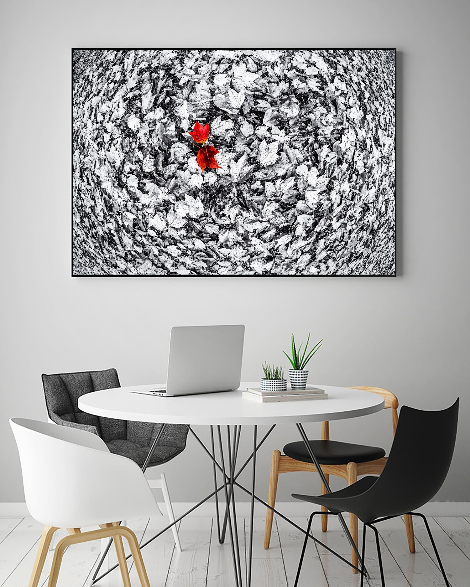 Together by Vladimir Kostka on GIANT ART - multicolor photography; floral/still life