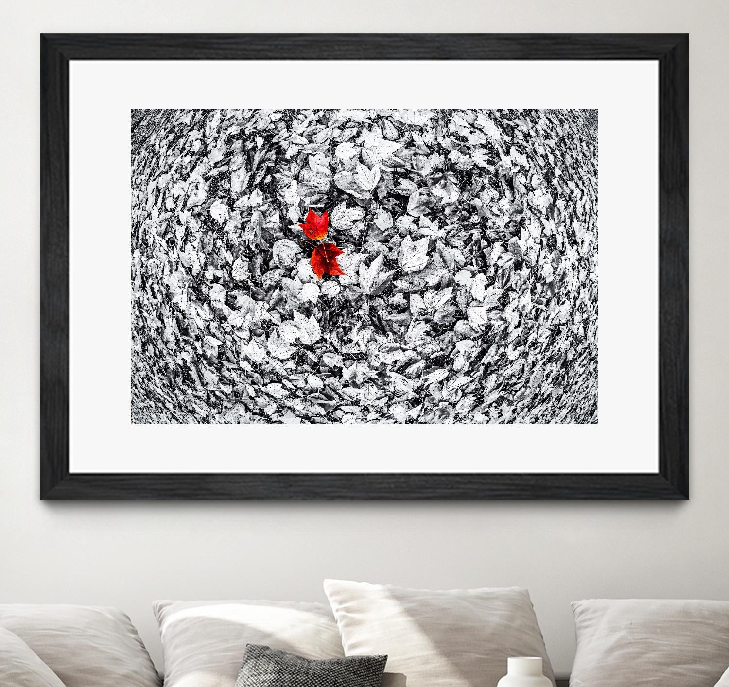 Together by Vladimir Kostka on GIANT ART - multicolor photography; floral/still life