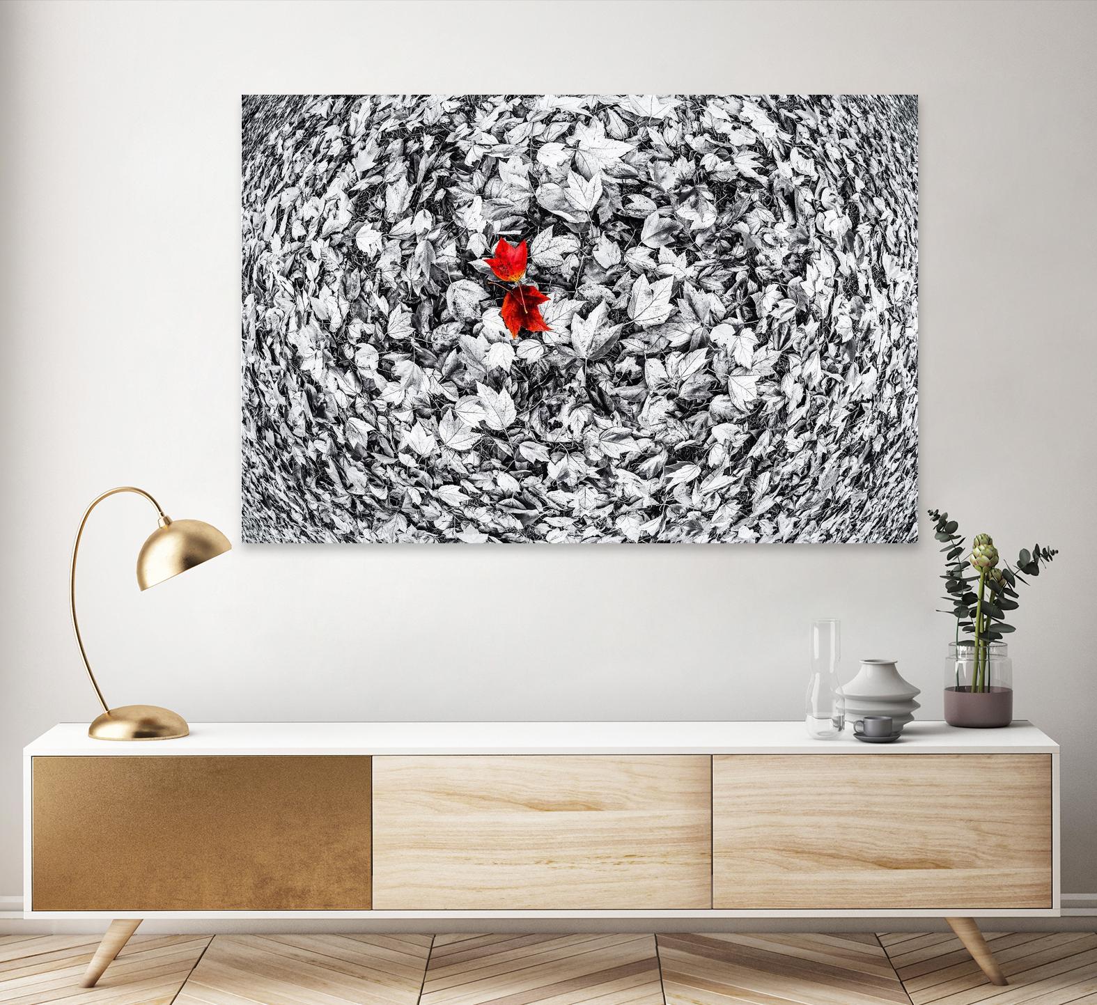 Together by Vladimir Kostka on GIANT ART - multicolor photography; floral/still life